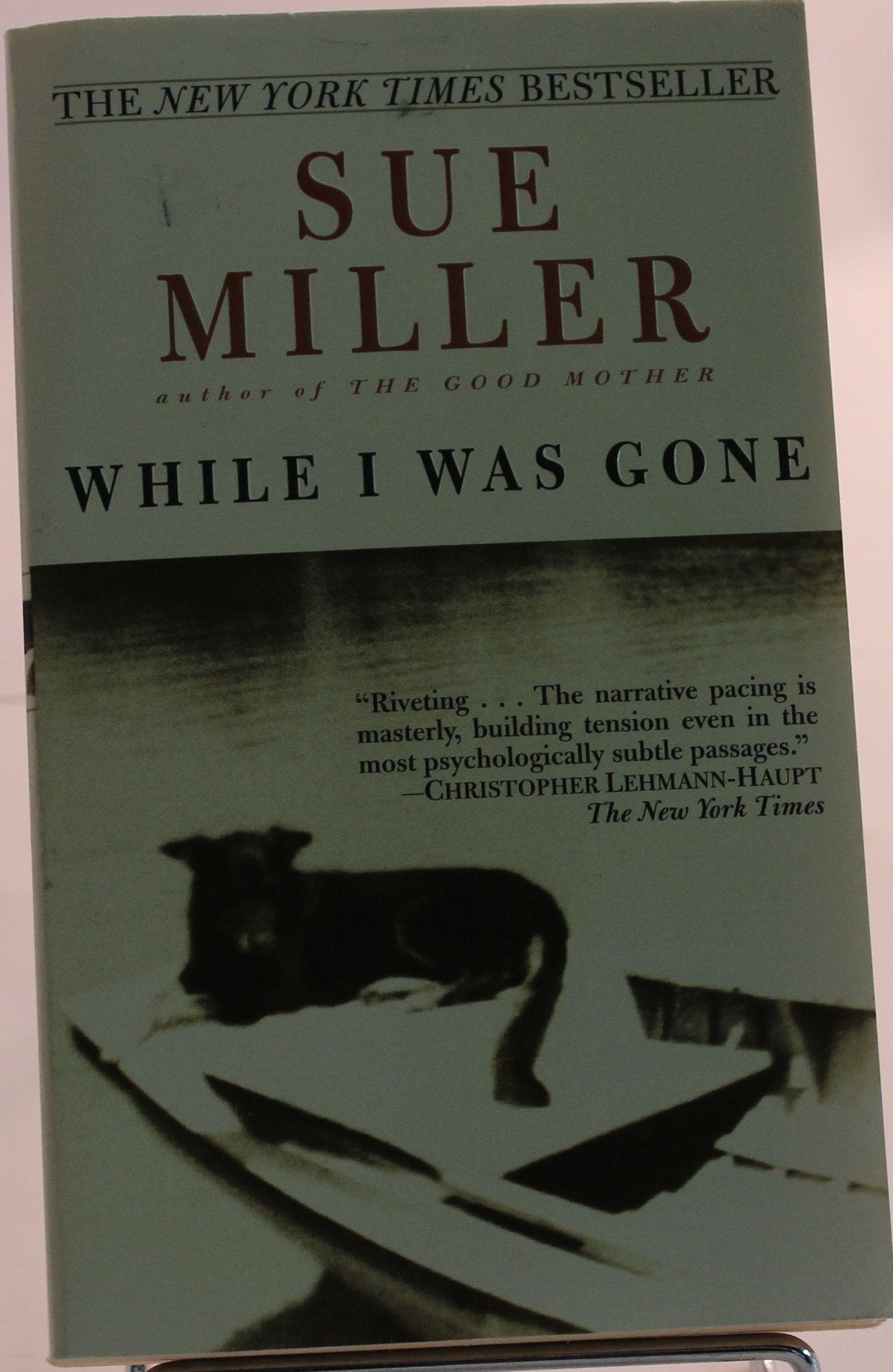 While I Was Gone used book depot