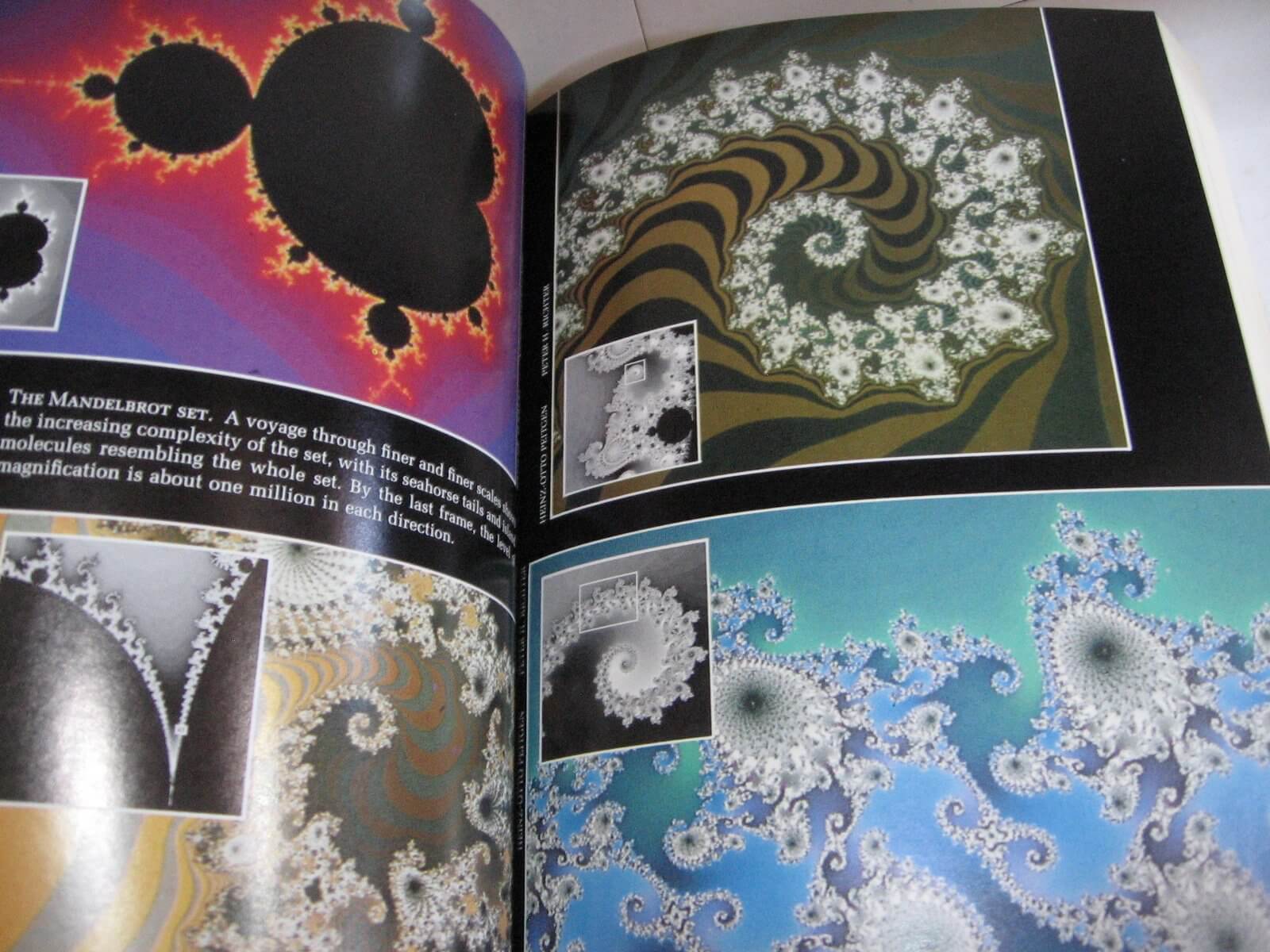 Chaos: Making a New Science used book depot