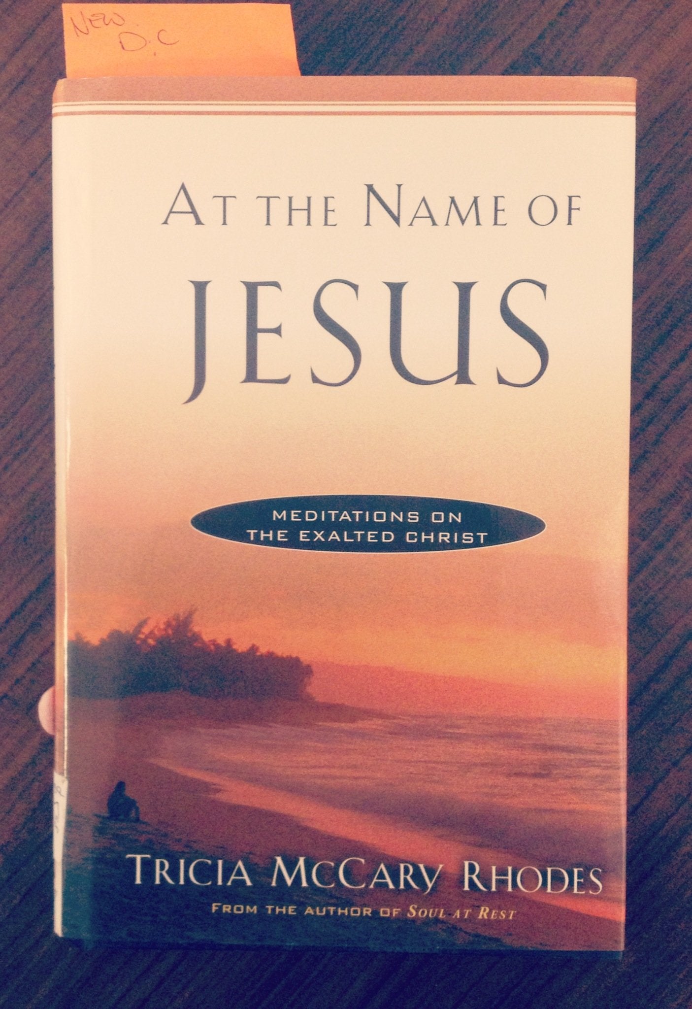 At the Name of Jesus (Meditations on the Exalted Christ) used book depot
