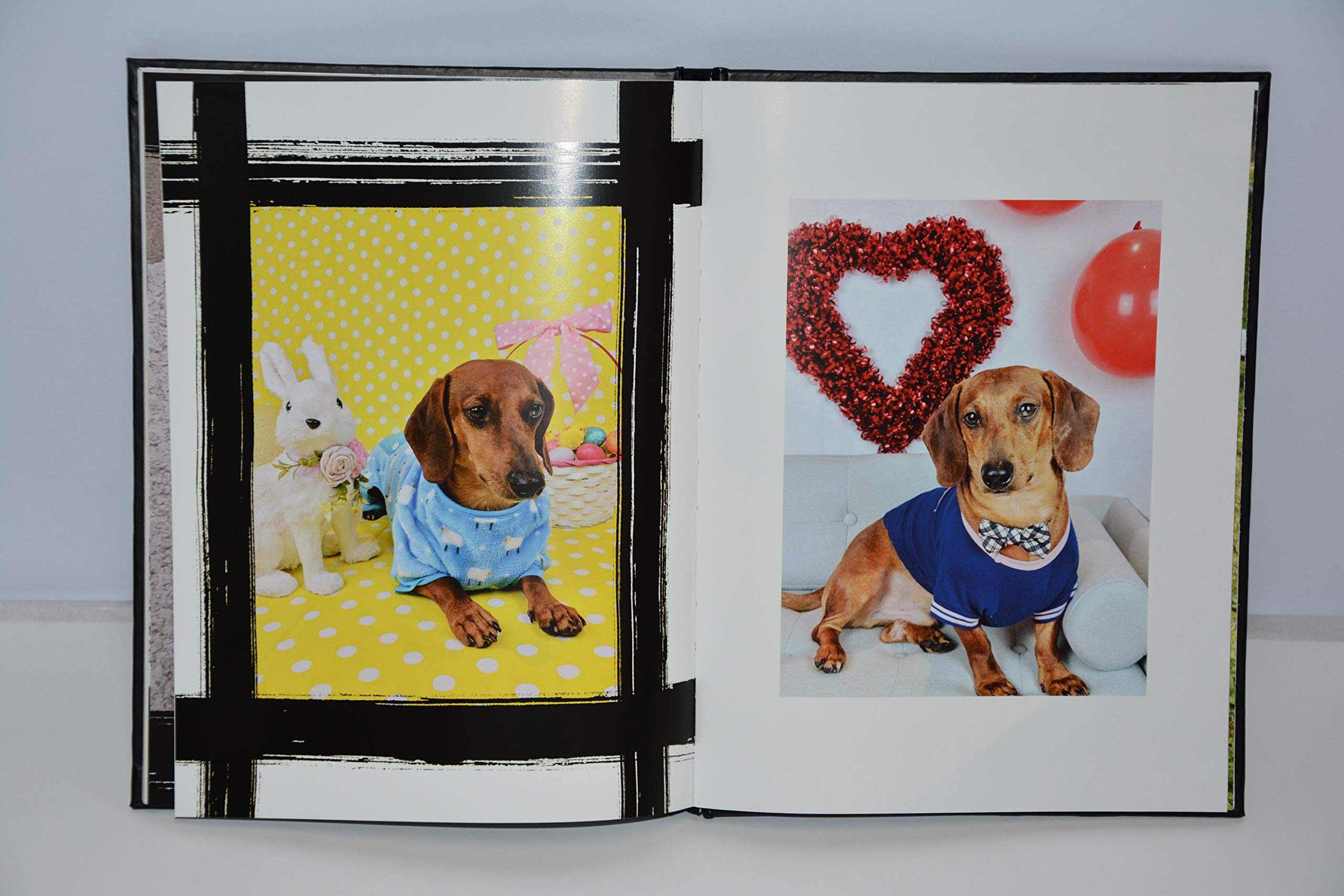 The Book of Dachshunds - Hardcover Dachshund Book used book depot