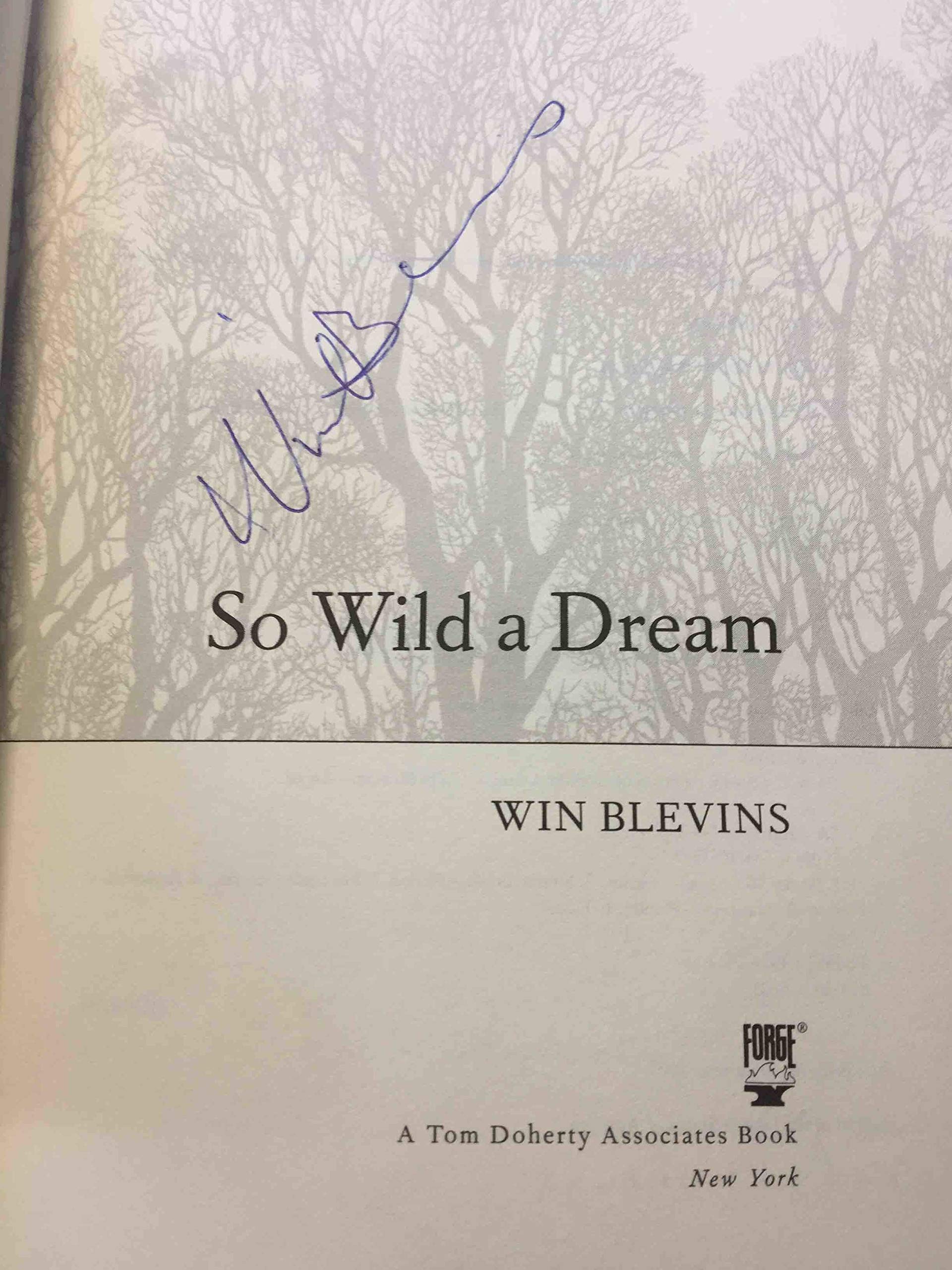 So Wild a Dream (Rendezvous)