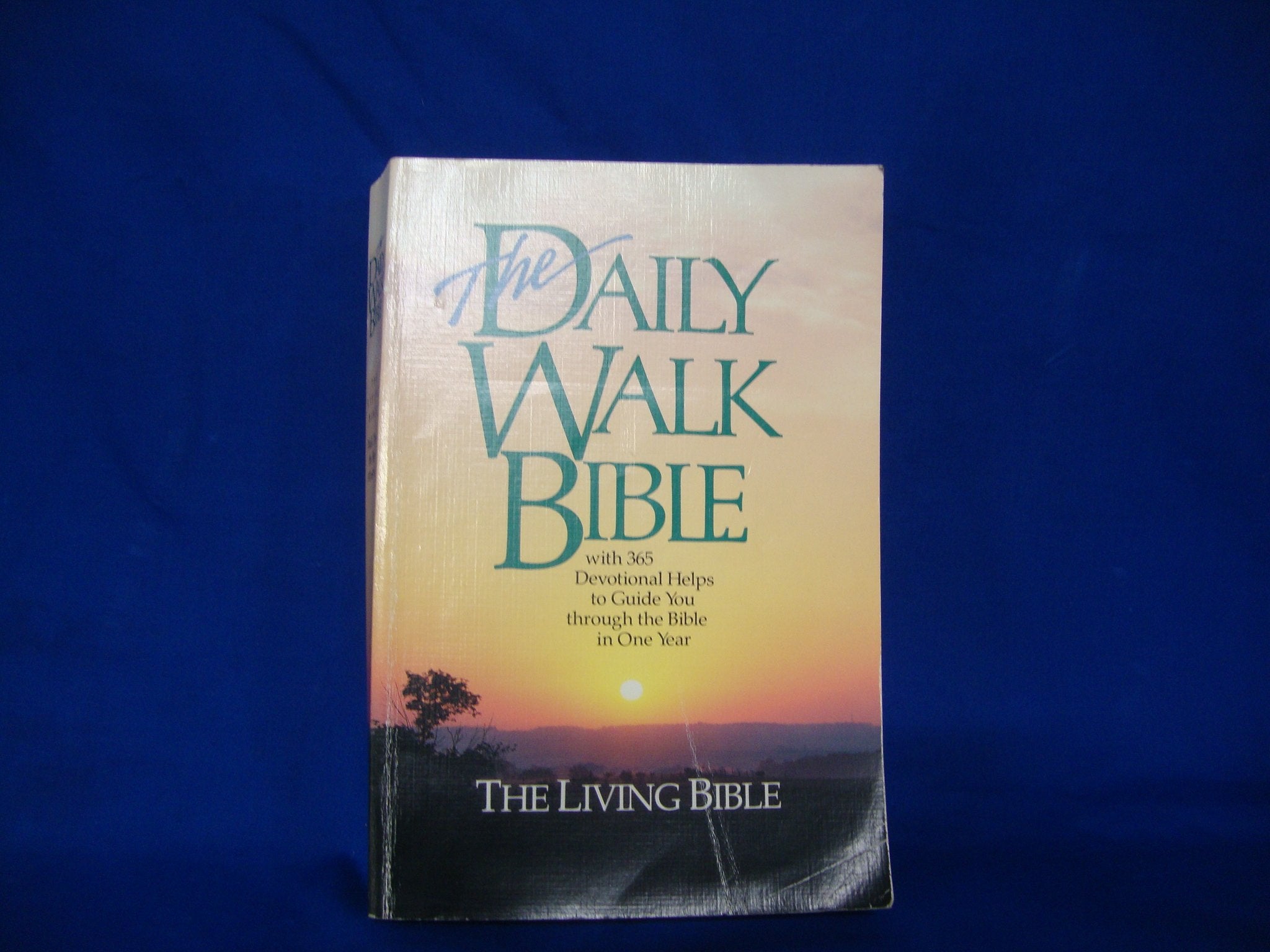 The Daily Walk Bible With 365 Devotional Helps to Guide You Through the Bible in One Year