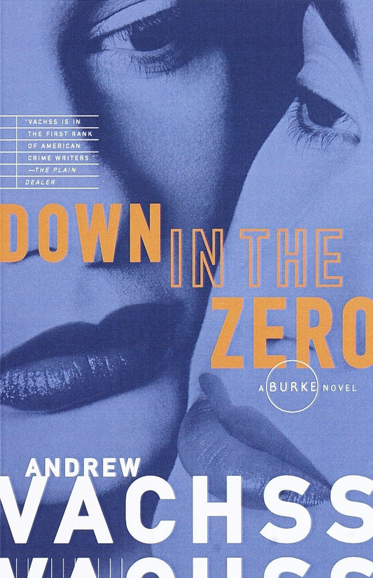 Down in the Zero [Paperback] Vachss, Andrew