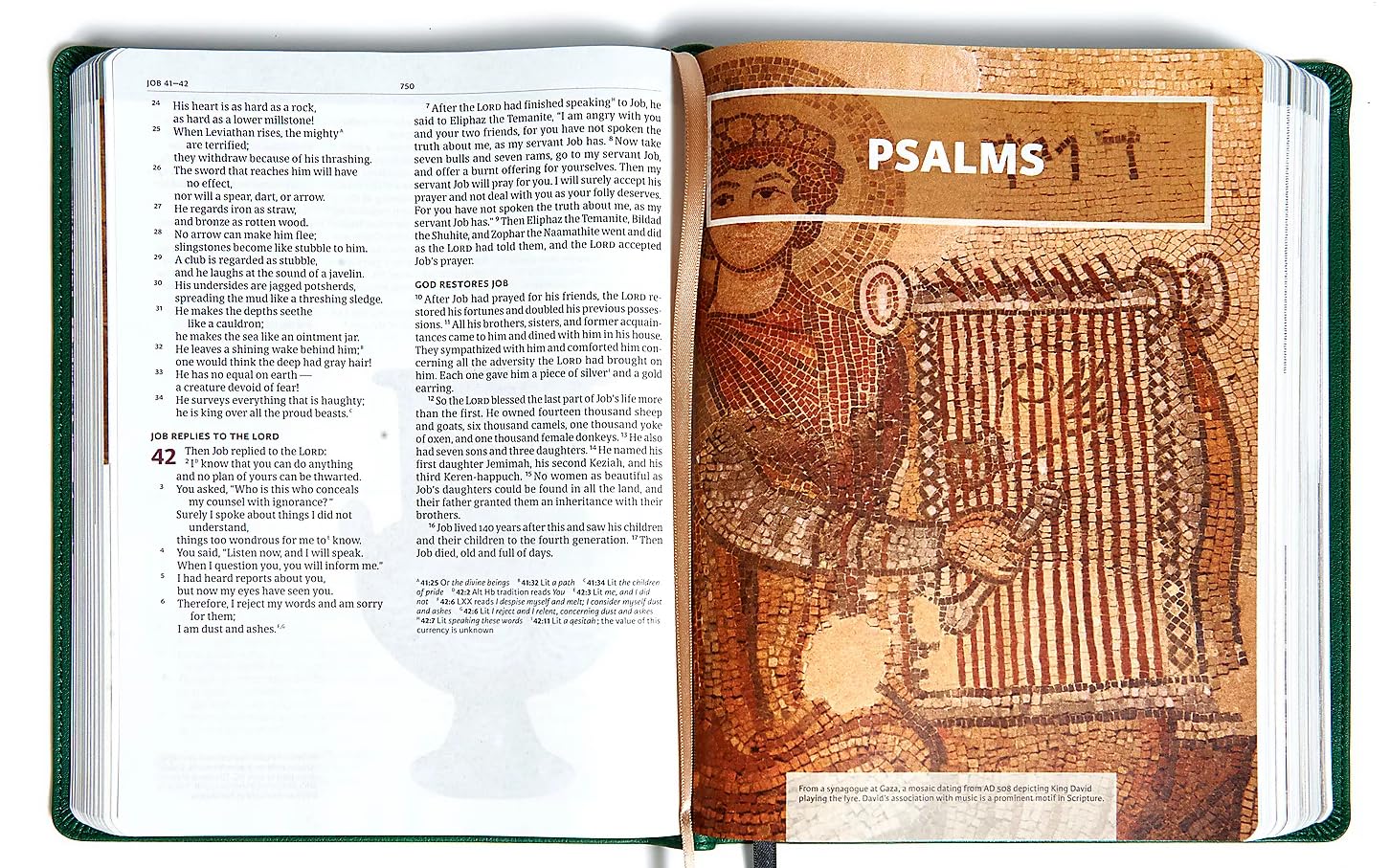 CSB Holy Land Illustrated Bible, Brown Leathertouch used book depot