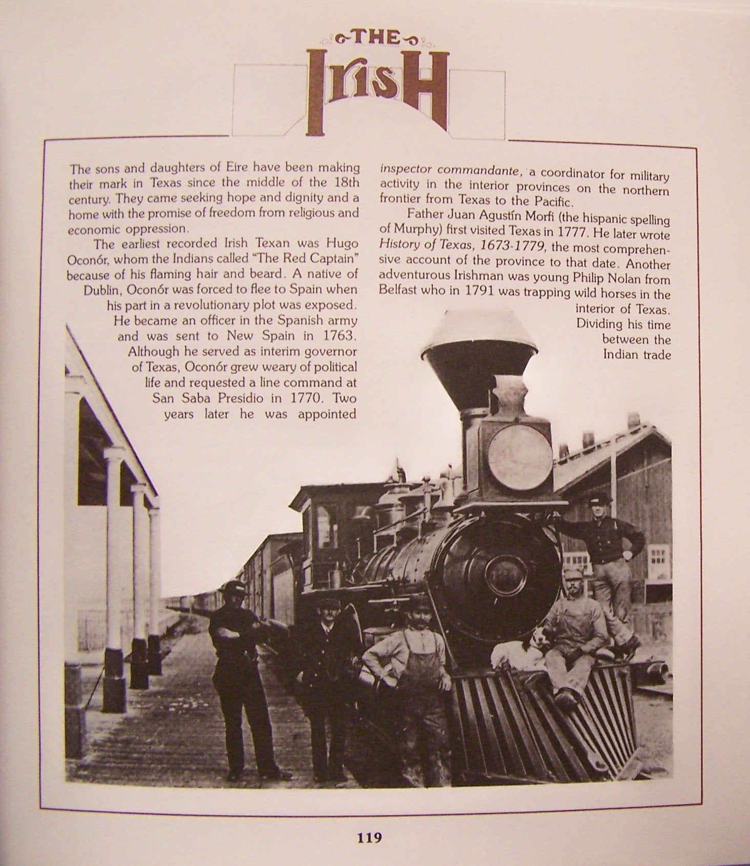 Melting Pot: Ethnic Cuisine in Texas used book depot