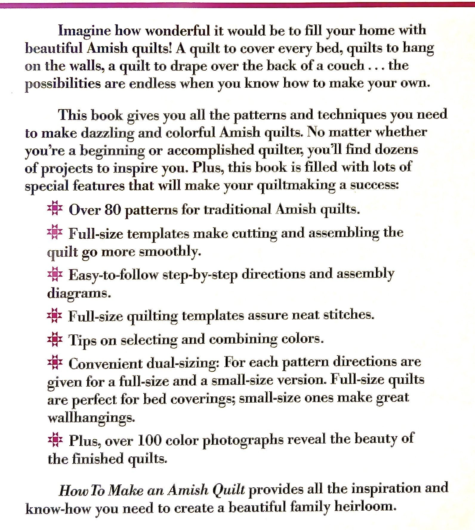 How to Make an Amish Quilt: More Than 80 Beautiful Patterns from the Quilting Heartland of America used book depot