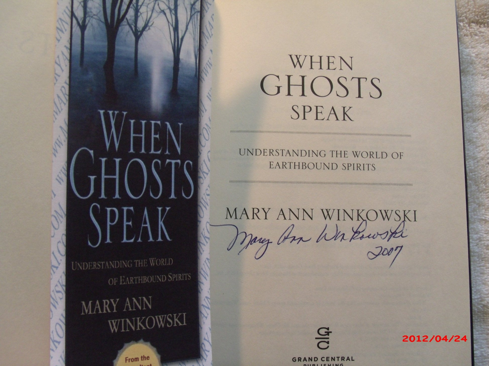 When Ghosts Speak: Understanding the World of Earthbound Spirits used book depot