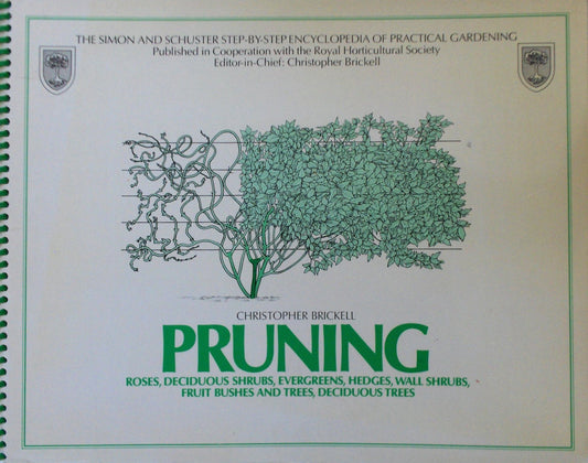 Pruning
