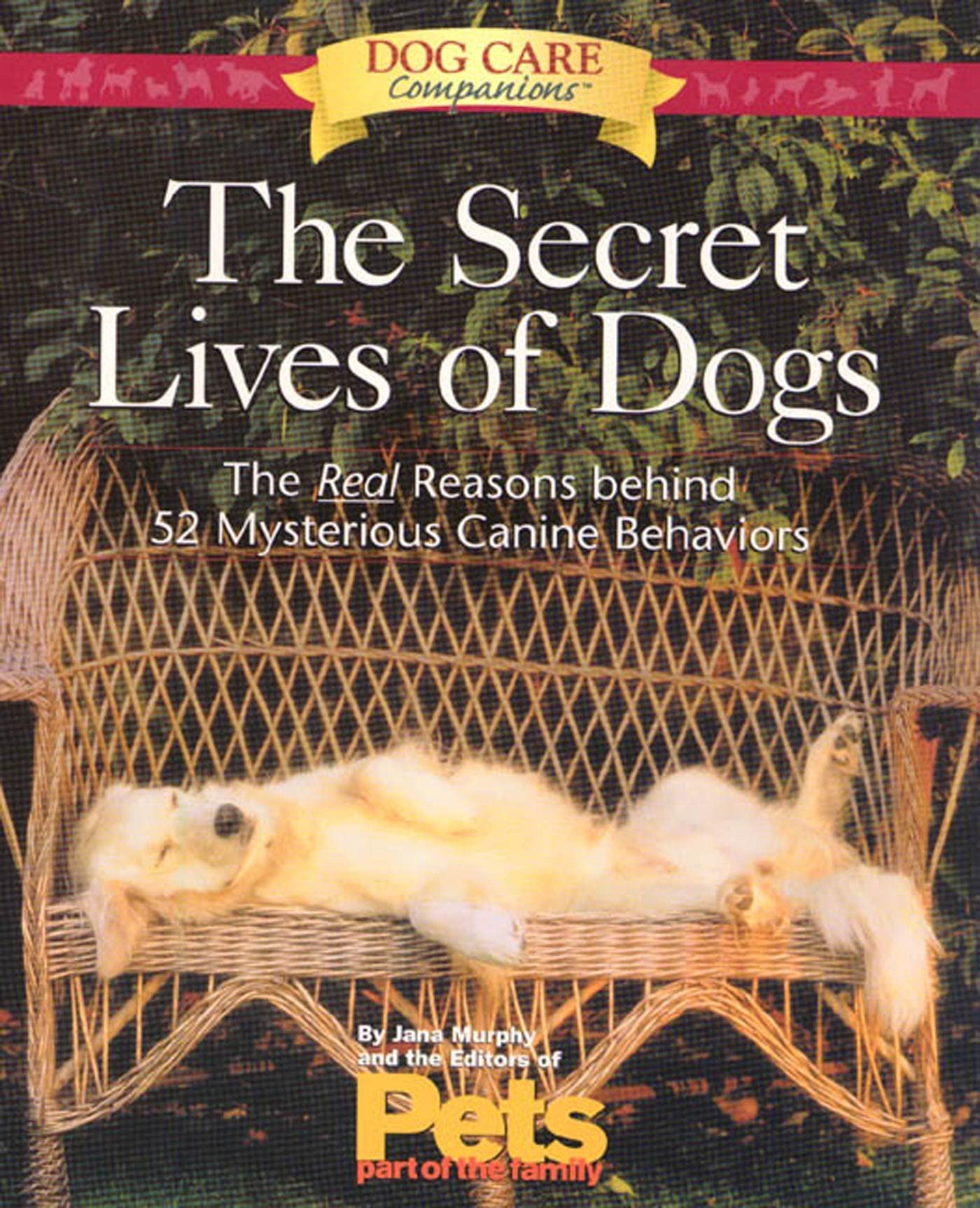 The Secret Lives of Dogs: The Real Reasons Behind 52 Mysterious Canine Behaviors used book depot