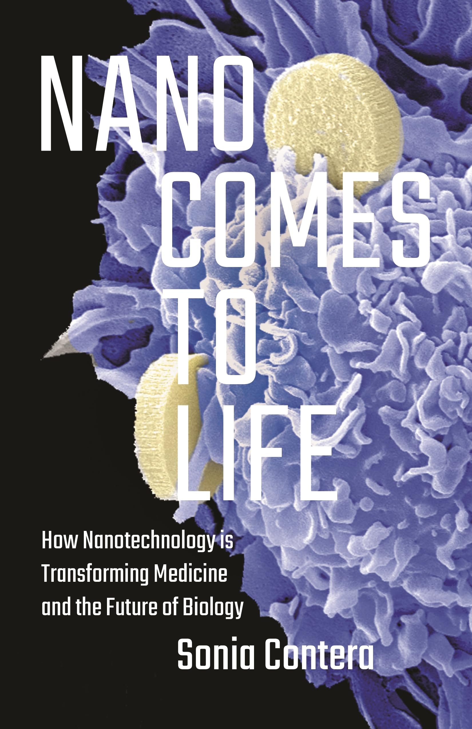 Nano Comes to Life: How Nanotechnology Is Transforming Medicine and the Future of Biology used book depot