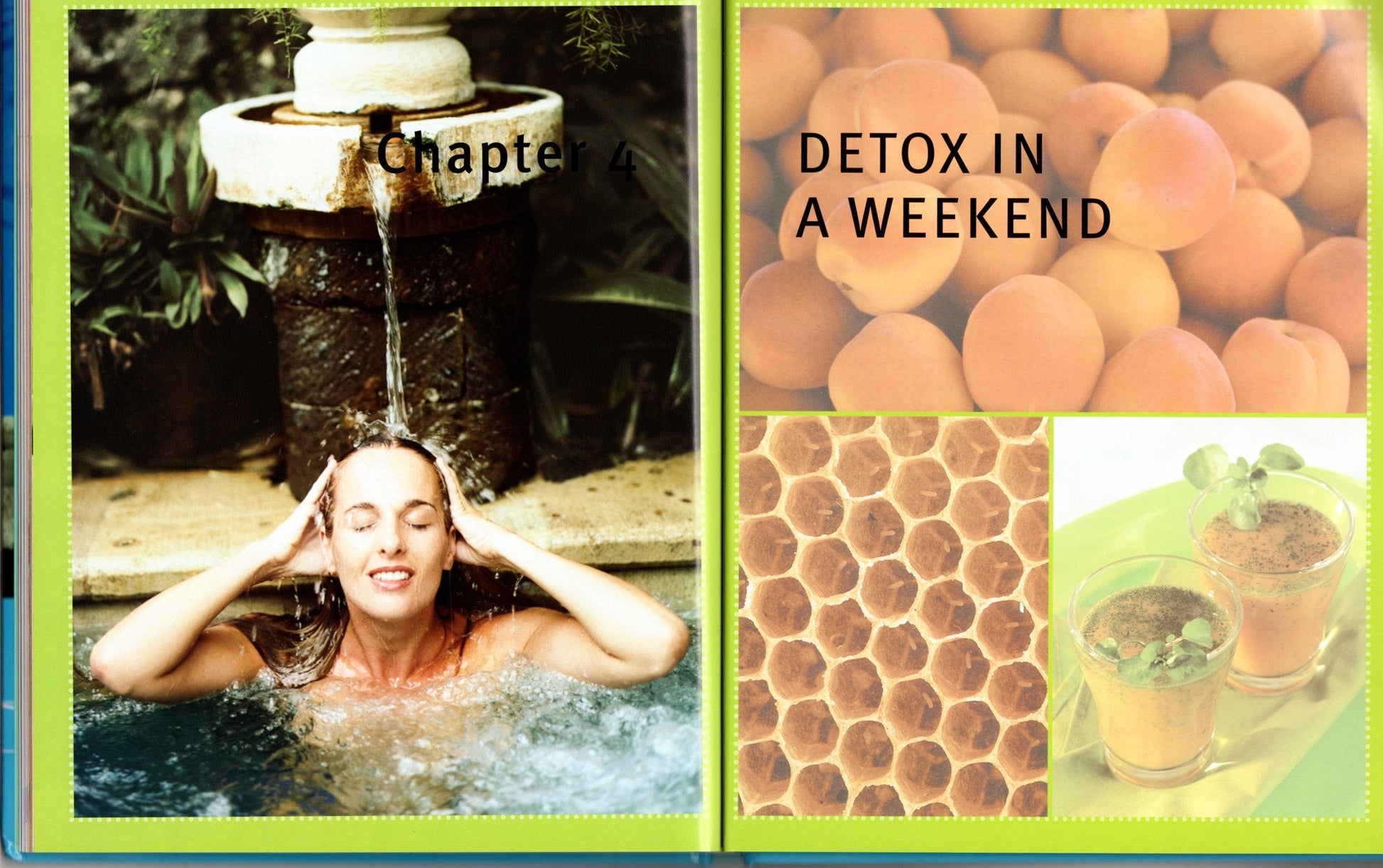 Detox: The Process of Cleansing and Restoration used book depot