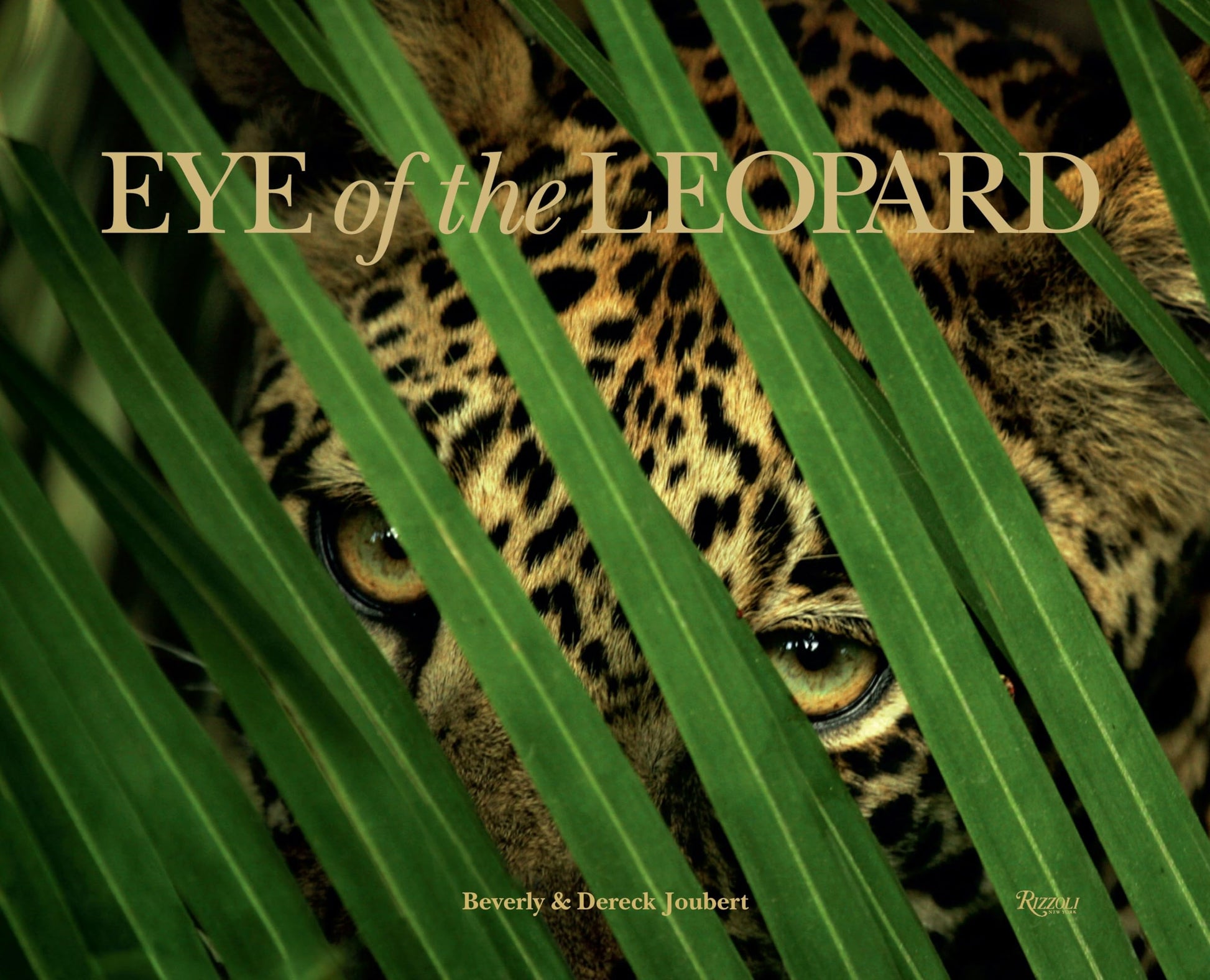 Eye of the Leopard used book depot