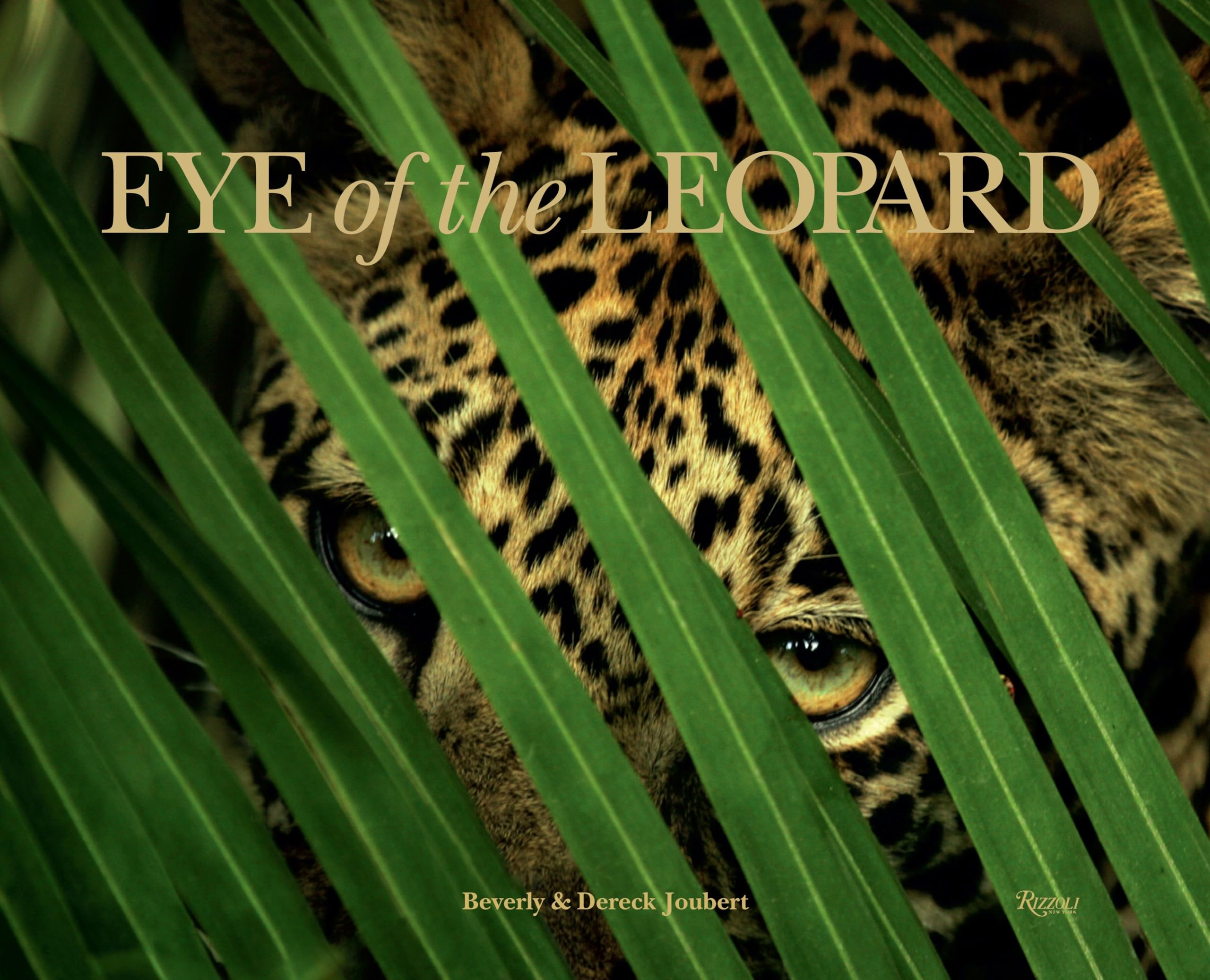 Eye of the Leopard used book depot