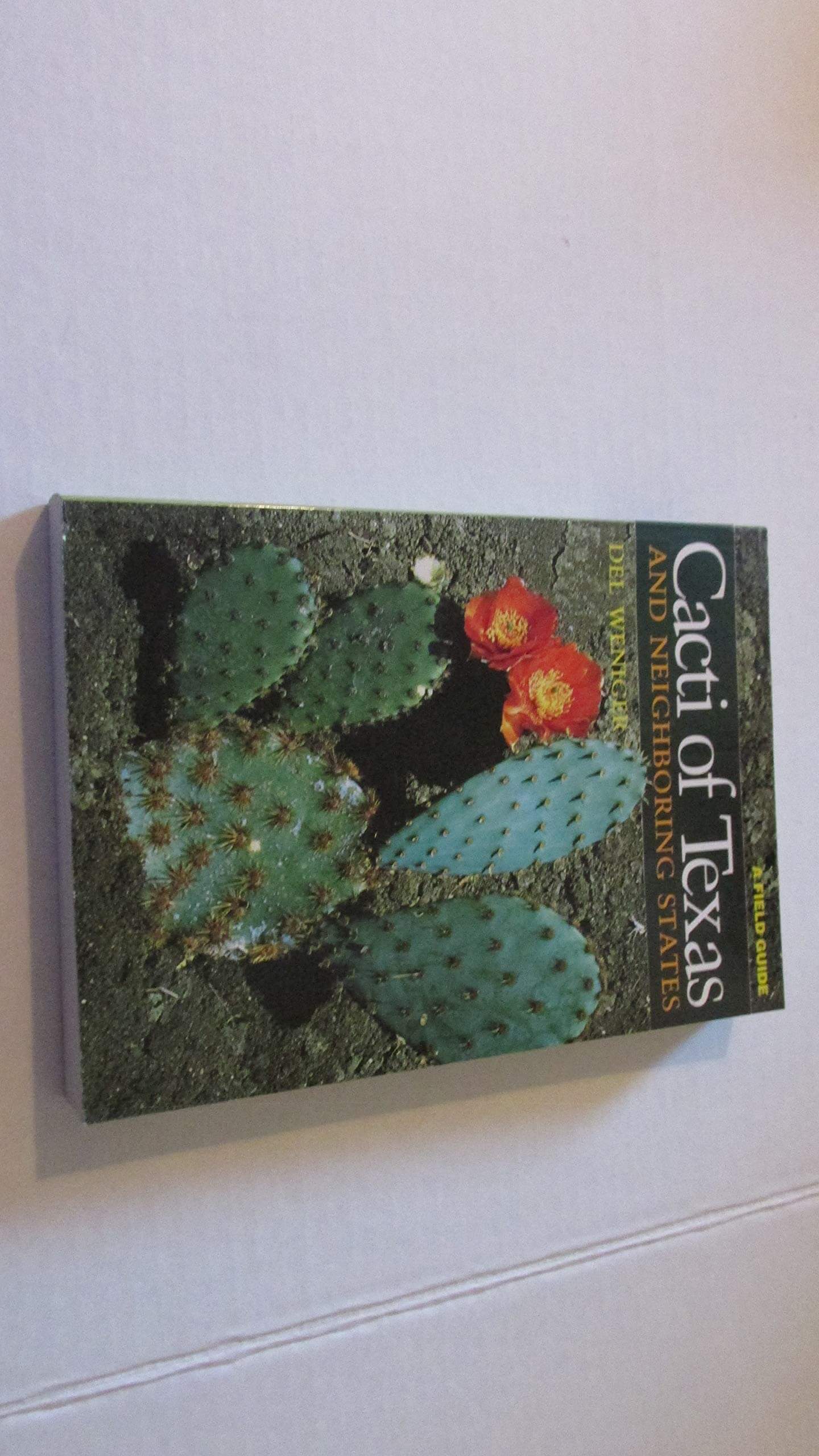 Cacti of Texas and Neighboring States: A Field Guide used book depot