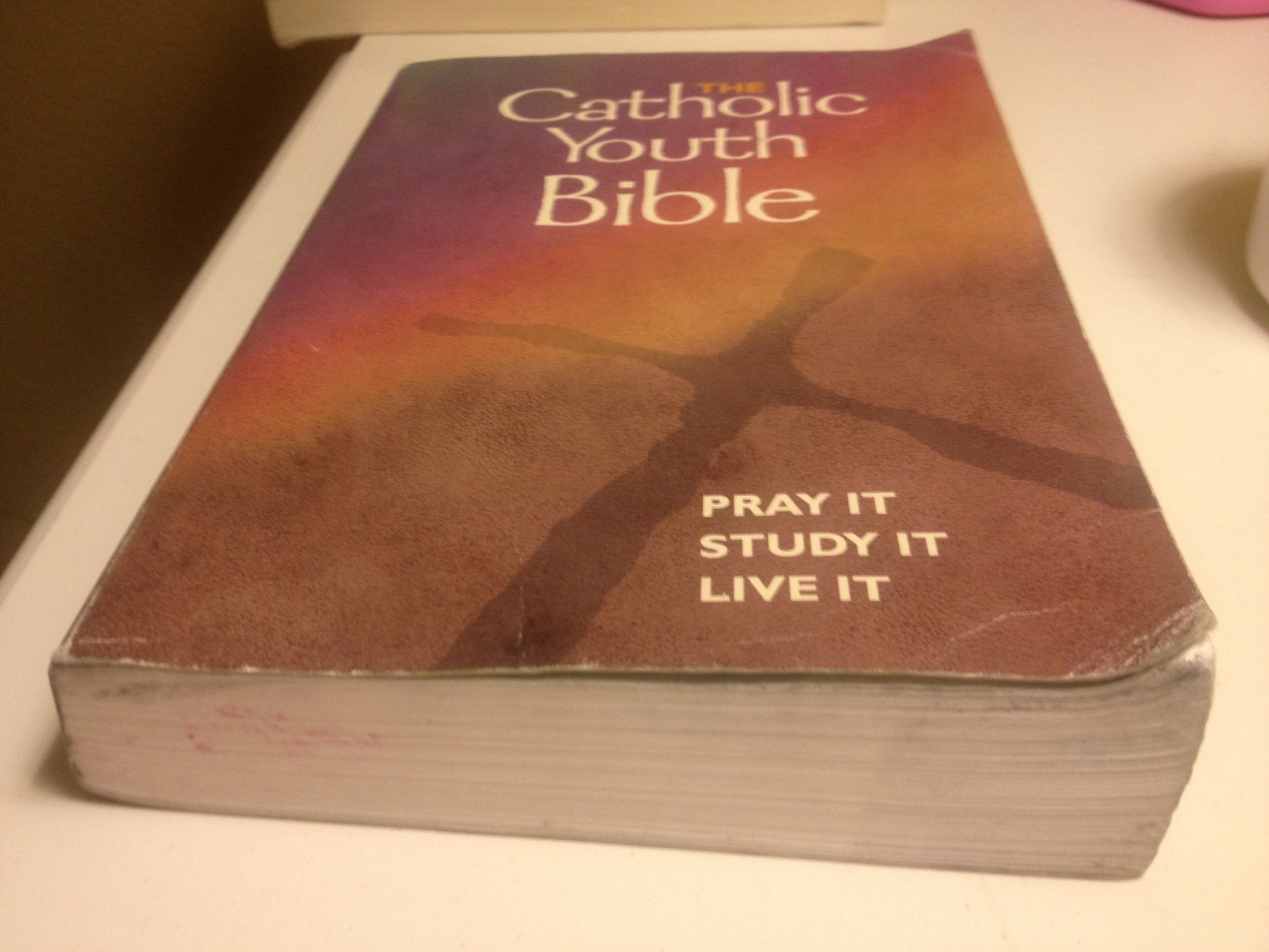 The Catholic Youth Bible: New Revised Standard Version : Catholic Edition used book depot