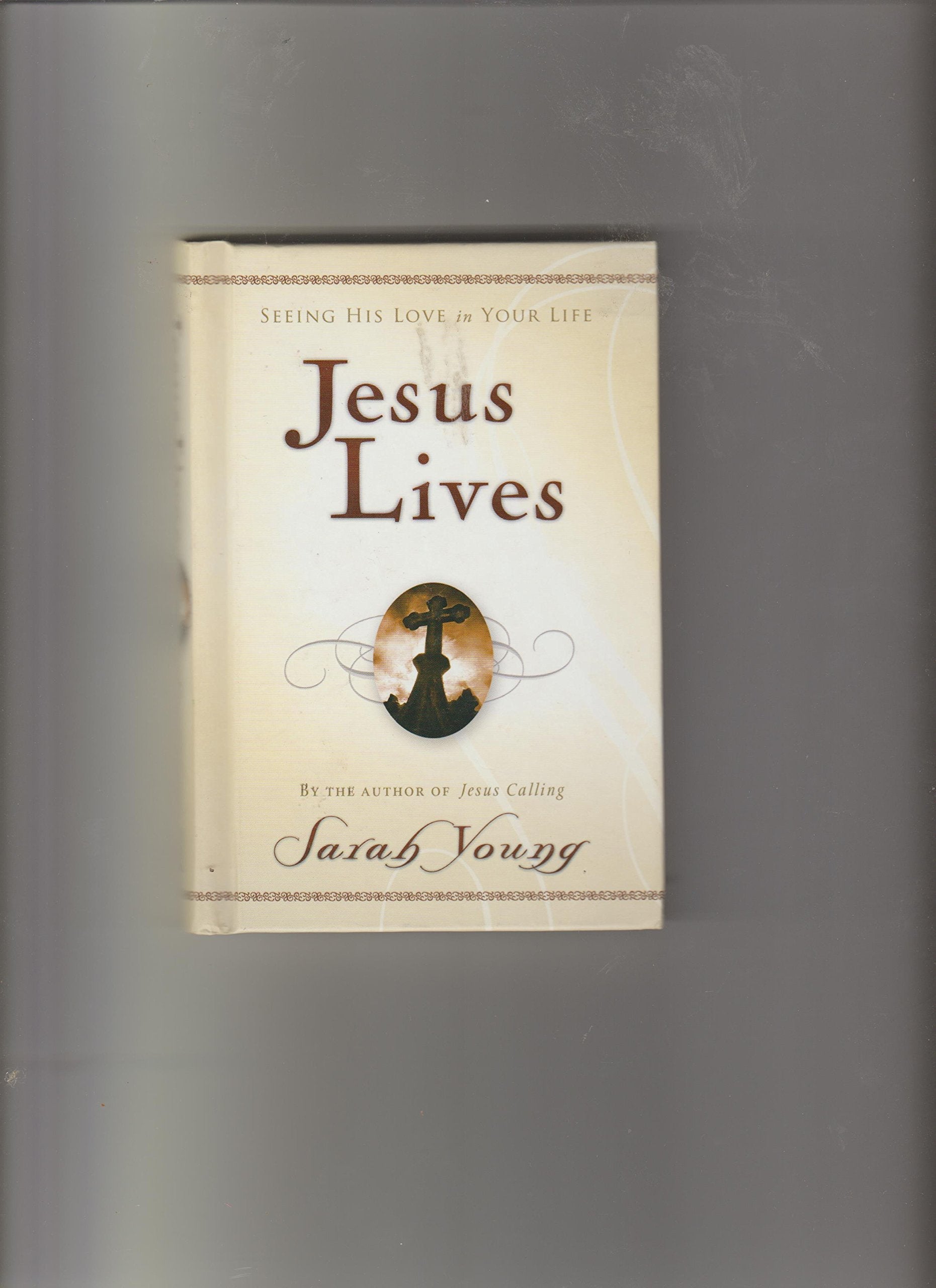 JESUS LIVES BY SARAH YOUNG used book depot
