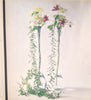 Ikebana Season to Season: 48 Stylish Arrangements Ohno, Noriko