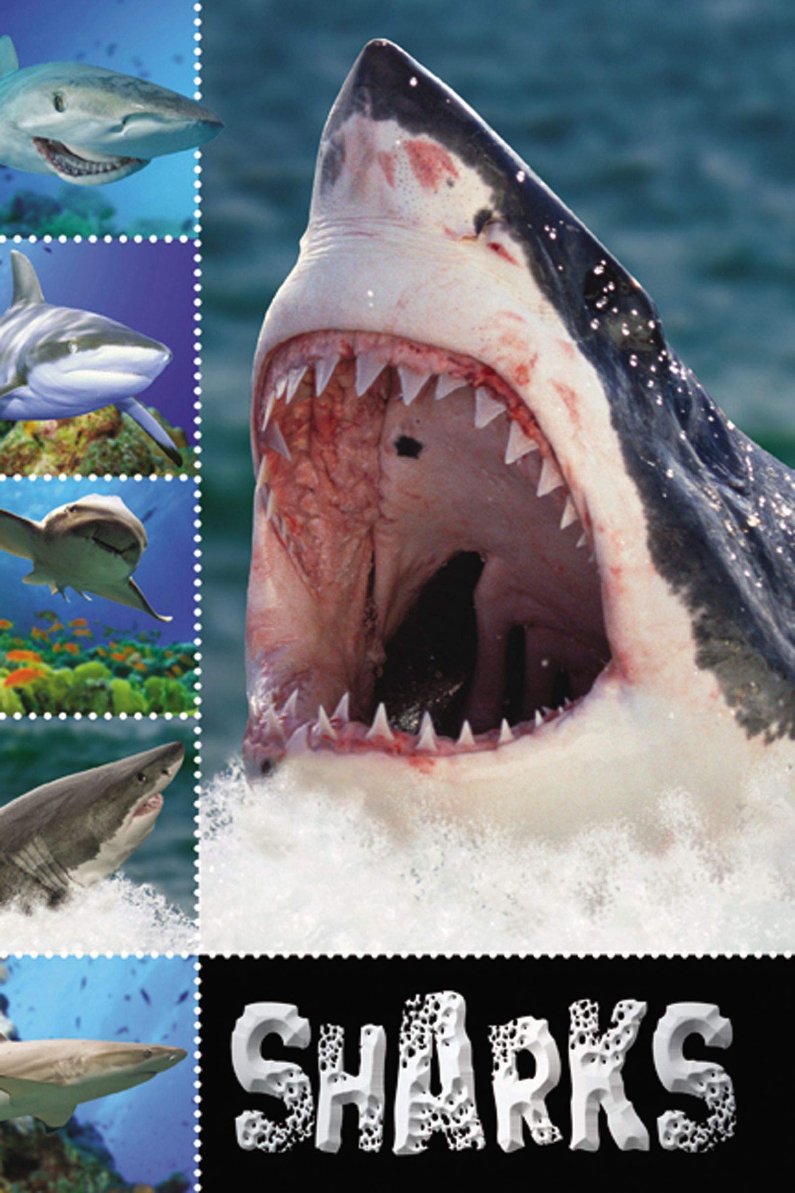 Sharks (Ready To Read) used book depot