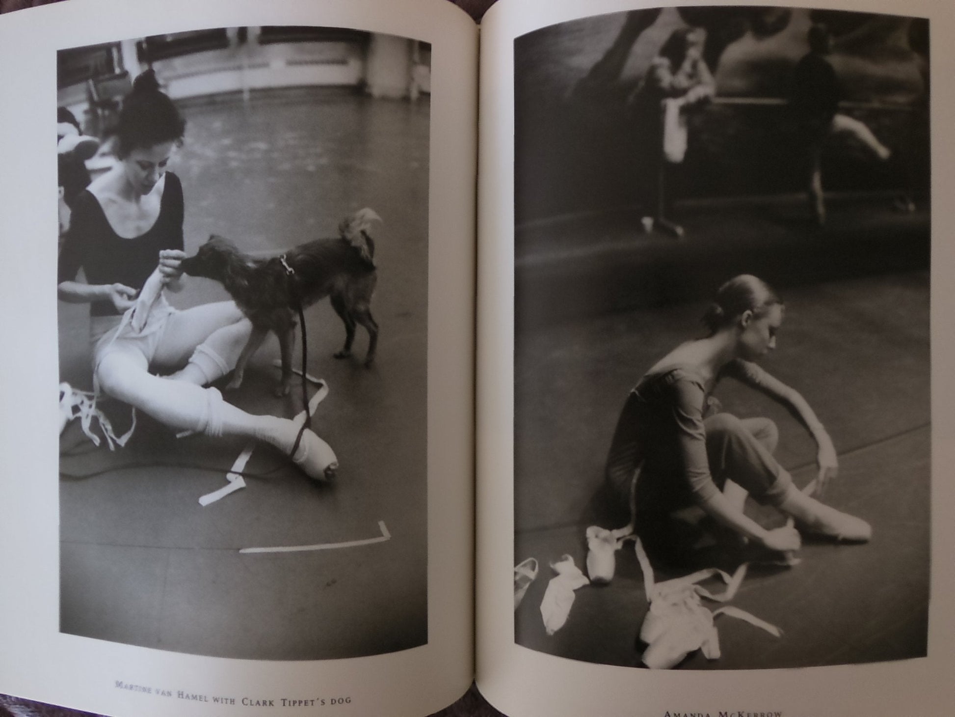 Private View: Inside Baryshnikov's American Ballet Theatre used book depot