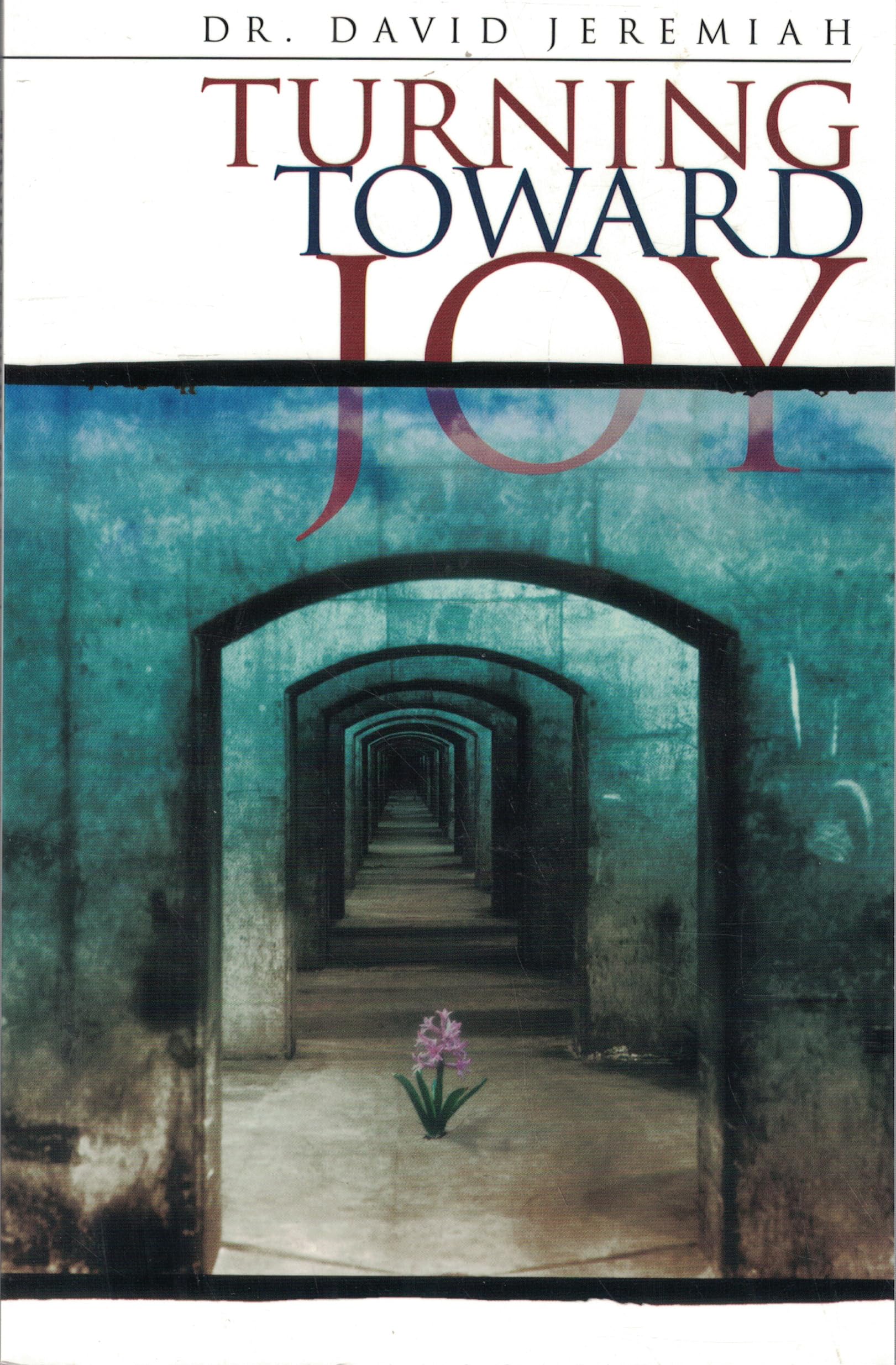 Turning Toward Joy used book depot