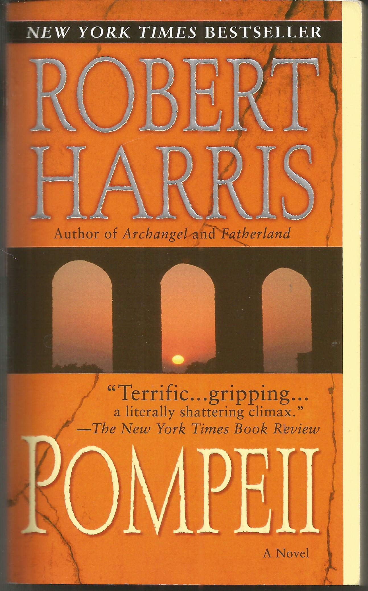 Pompeii: A Novel used book depot