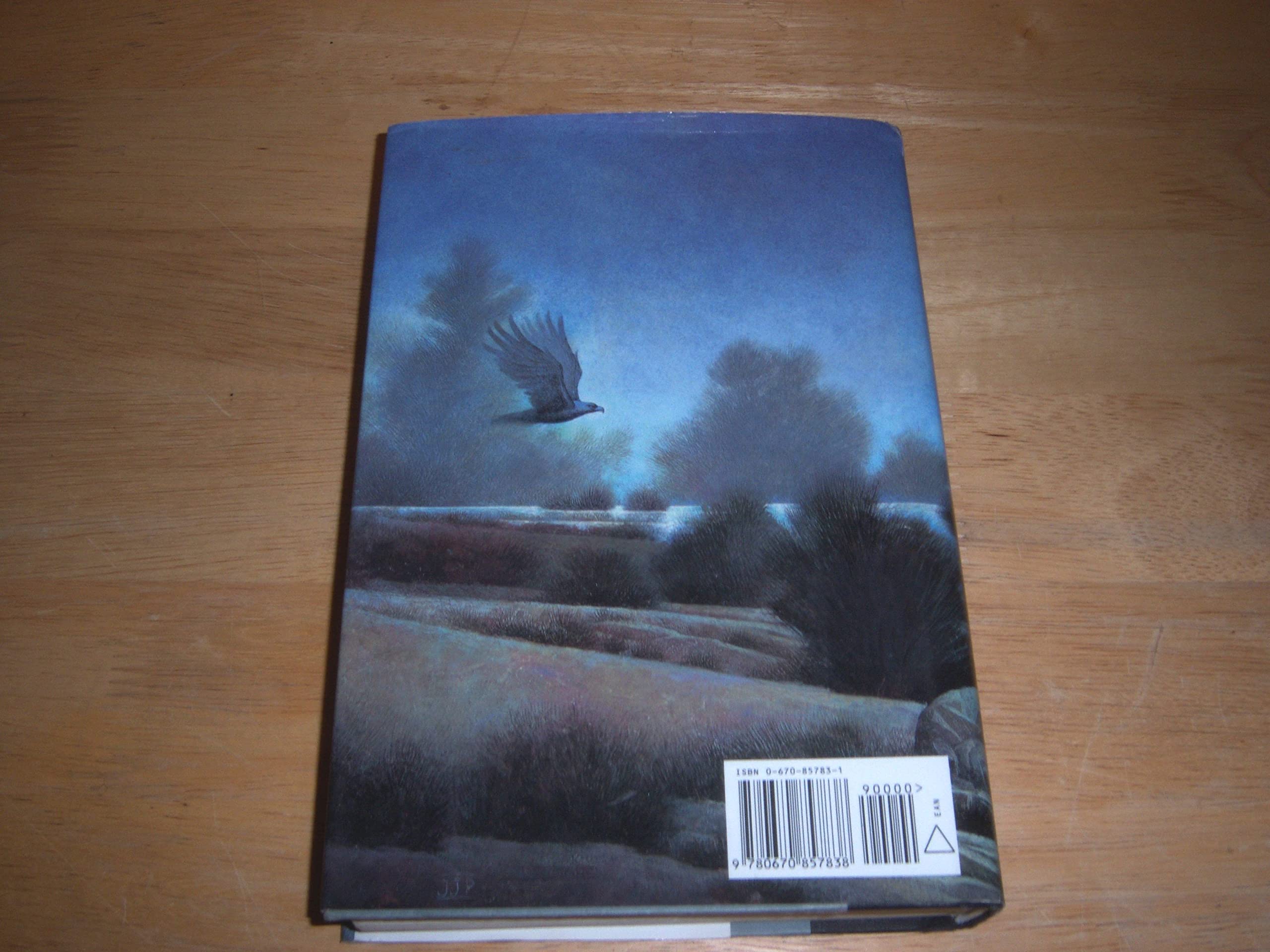 Lady of Avalon used book depot
