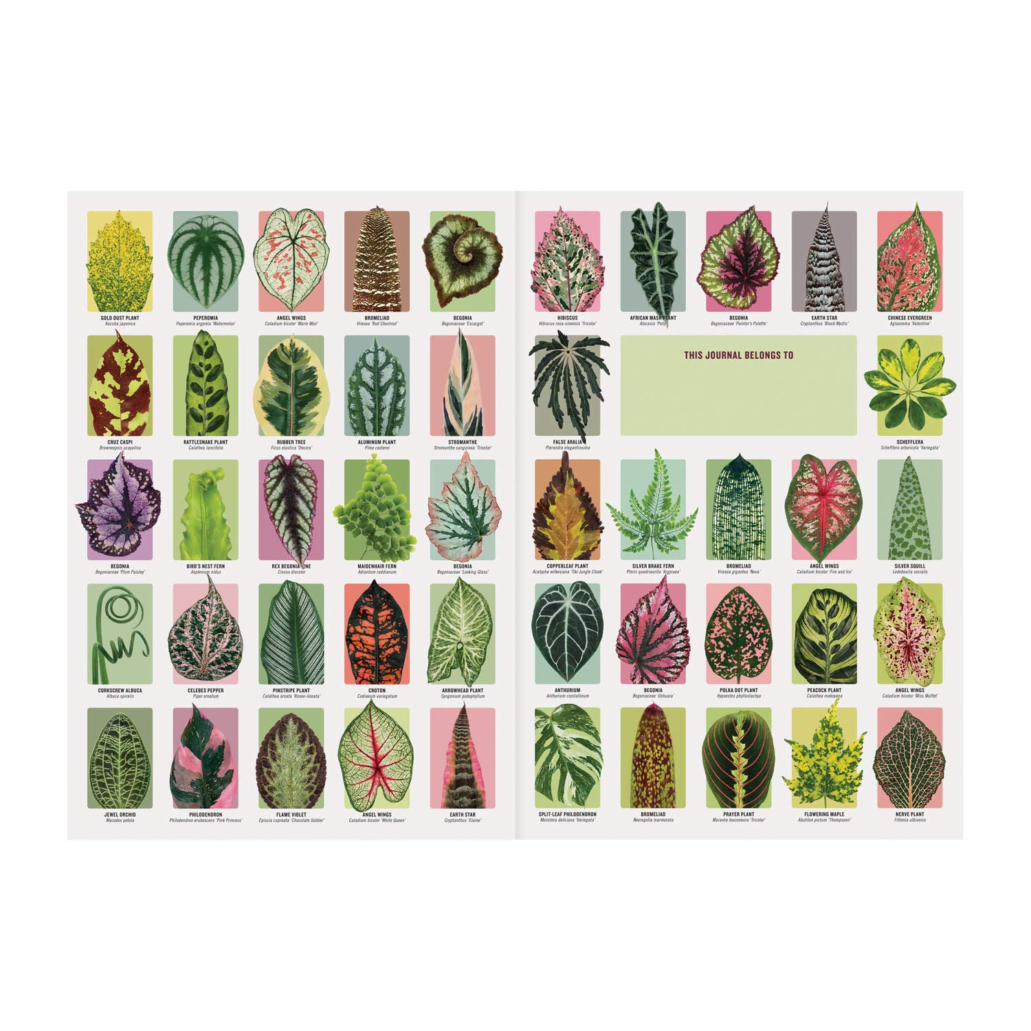 Houseplant Jungle A5 Journal used book depot