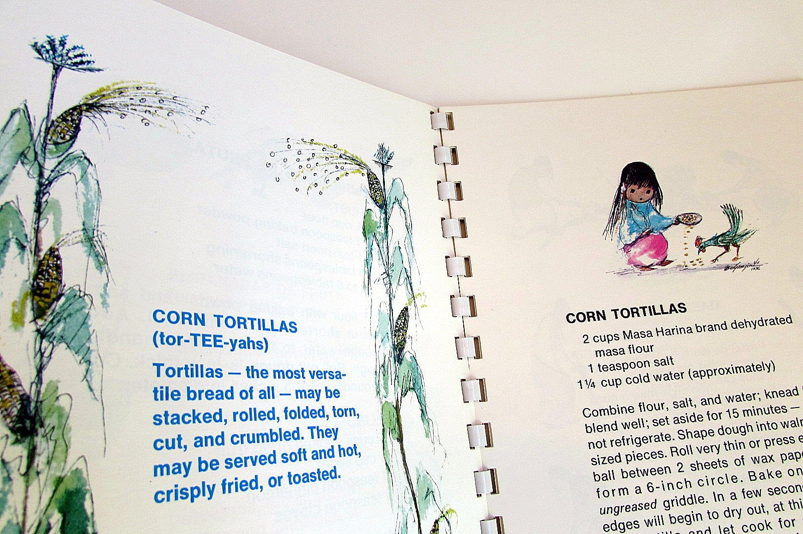 Degrazia and Mexican Cookery used book depot