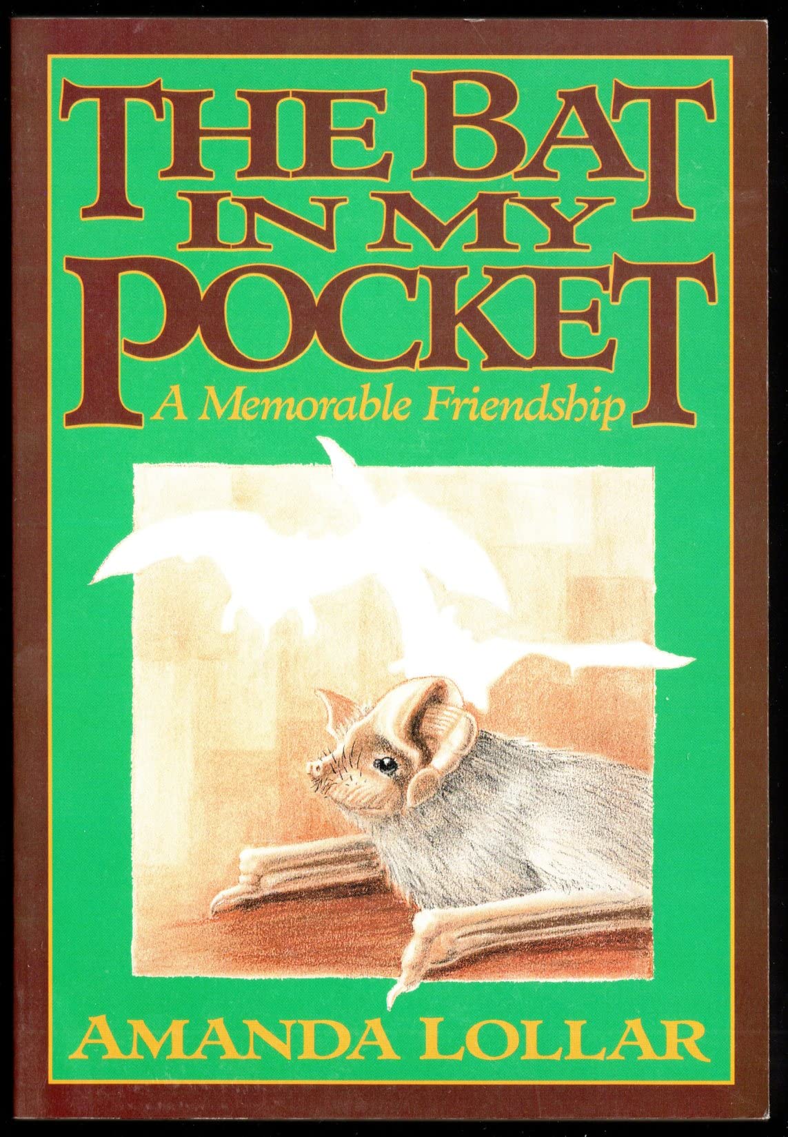 The Bat in My Pocket: A Memorable Friendship used book depot