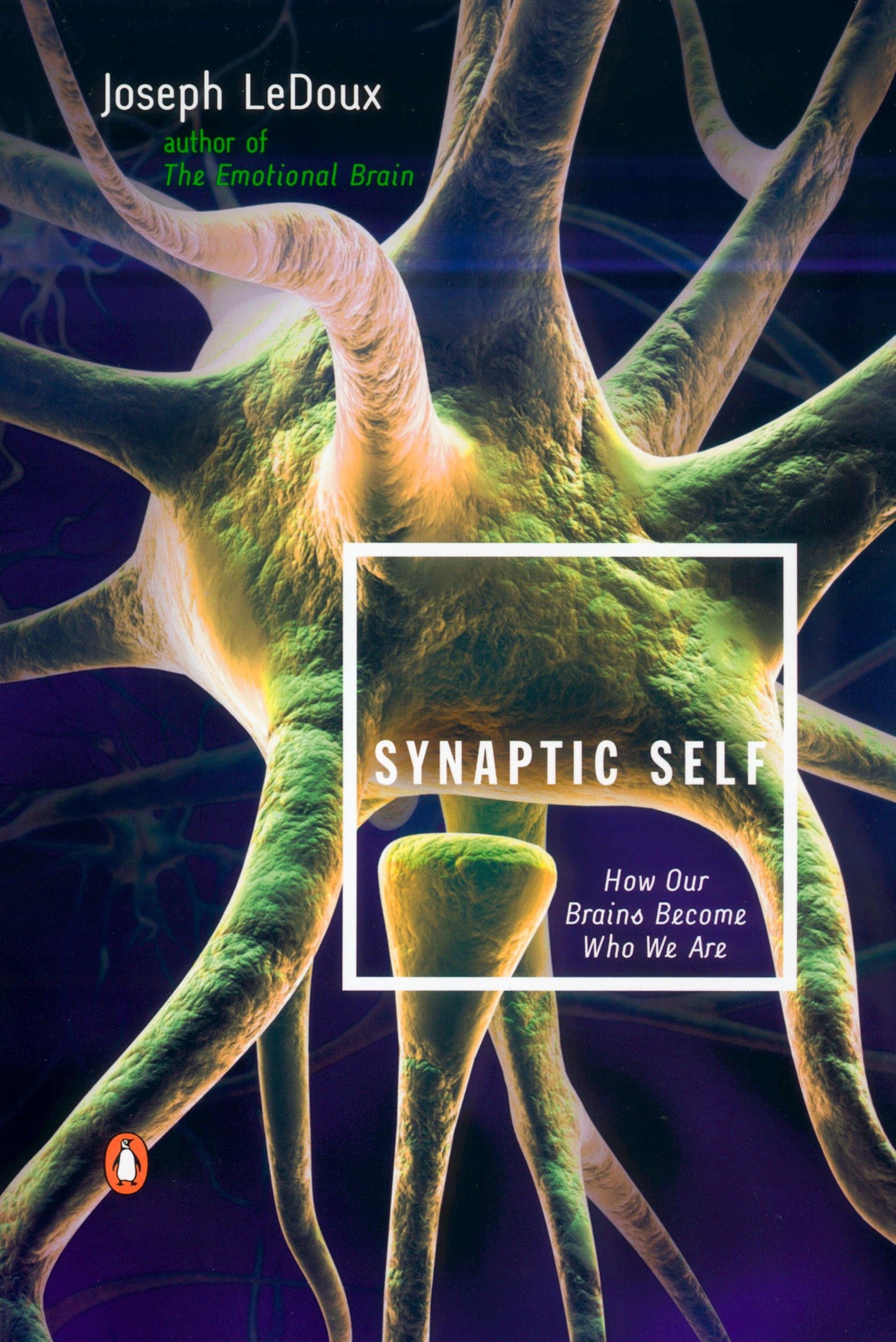 Synaptic Self: How Our Brains Become Who We Are used book depot