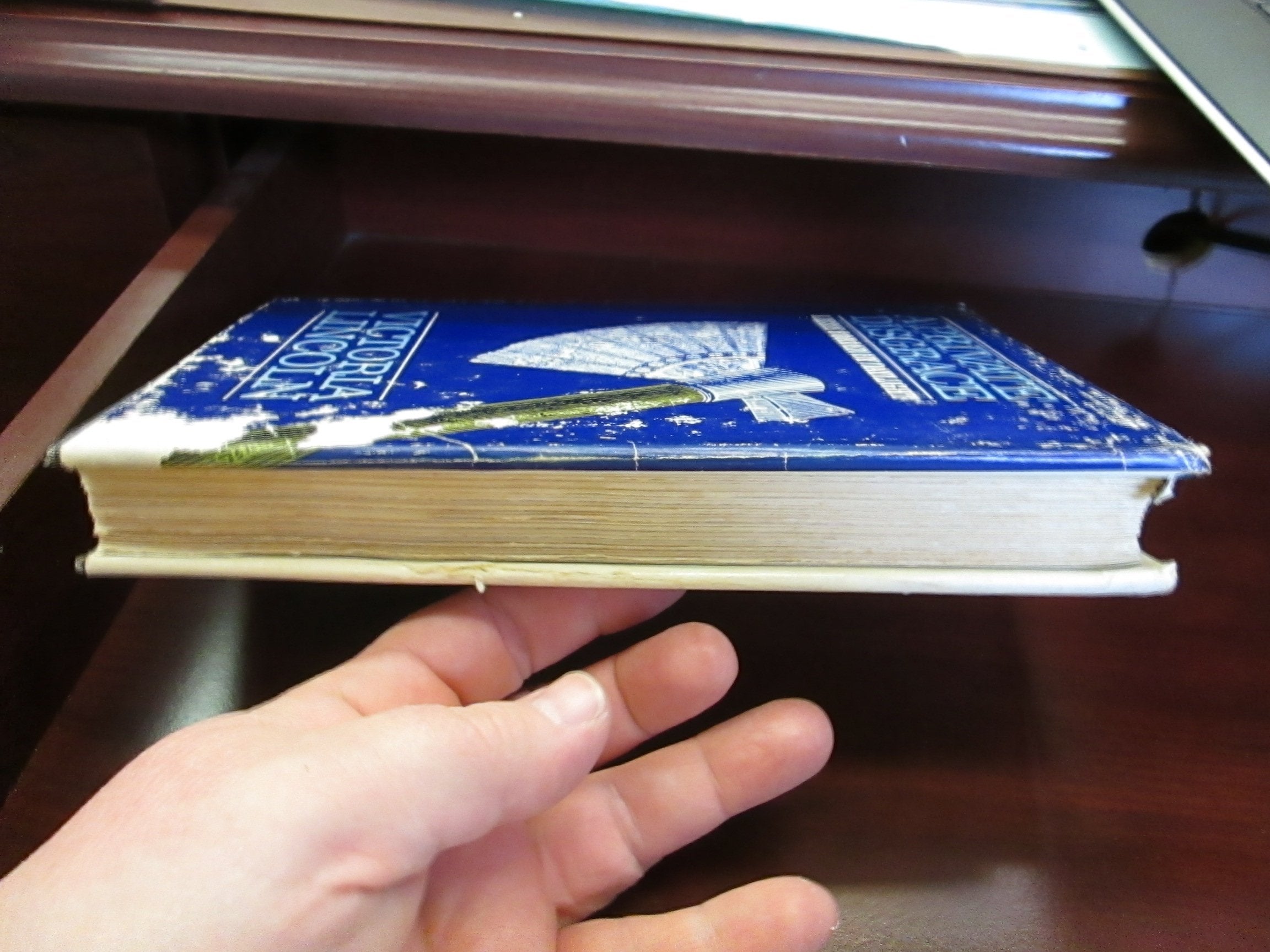 A Private Disgrace: Lizzie Borden by Daylight used book depot