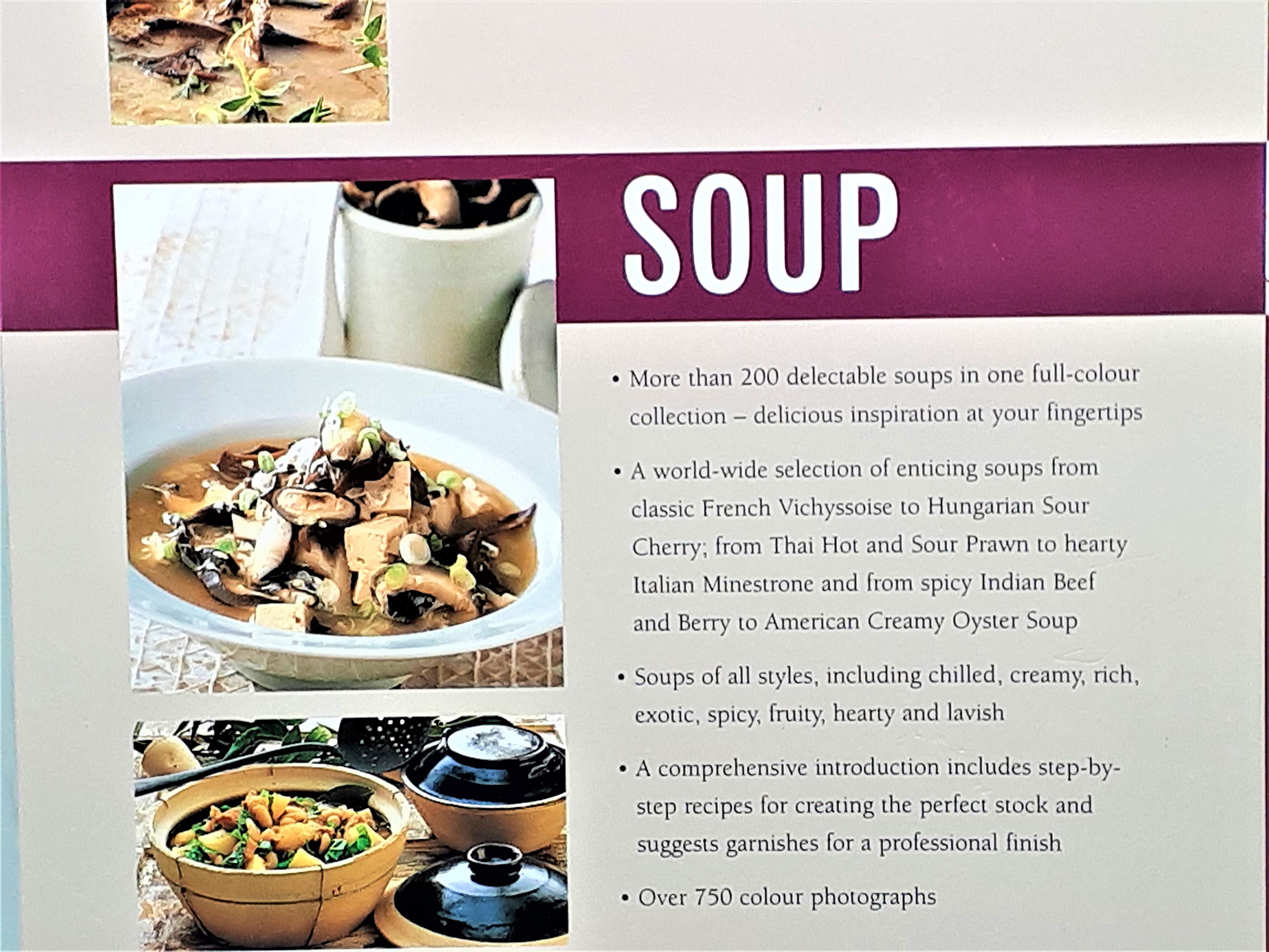 Soup: Superb Ways With a Classic Dish (The Soup Bible) used book depot