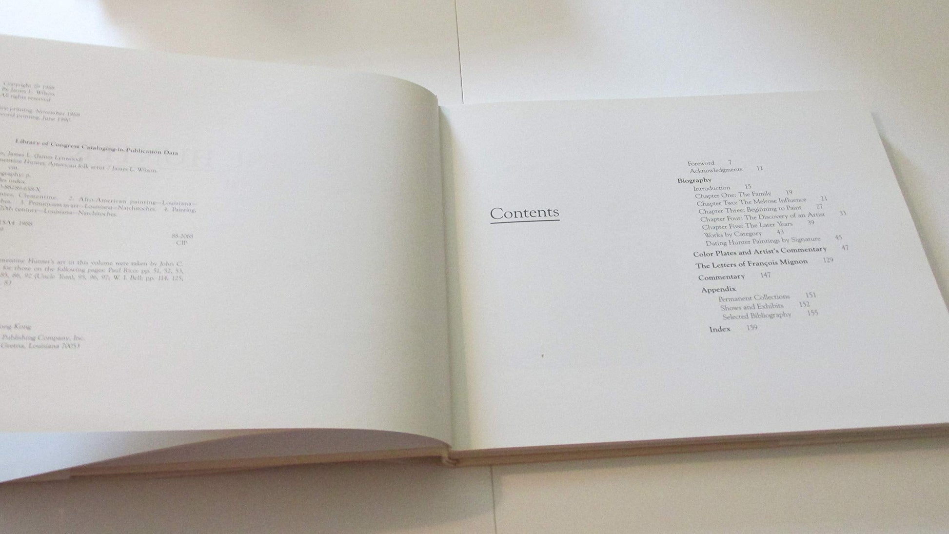 Clementine Hunter: American Folk Artist used book depot