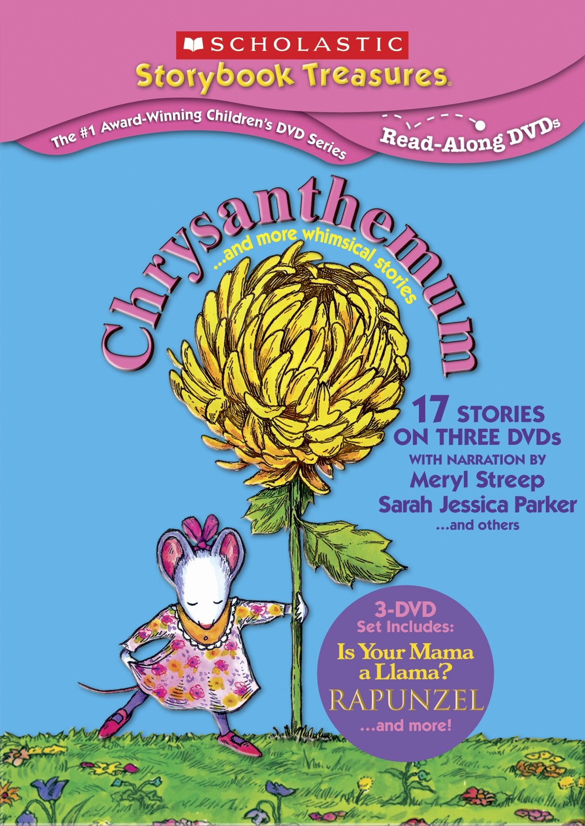 Chrysanthemum