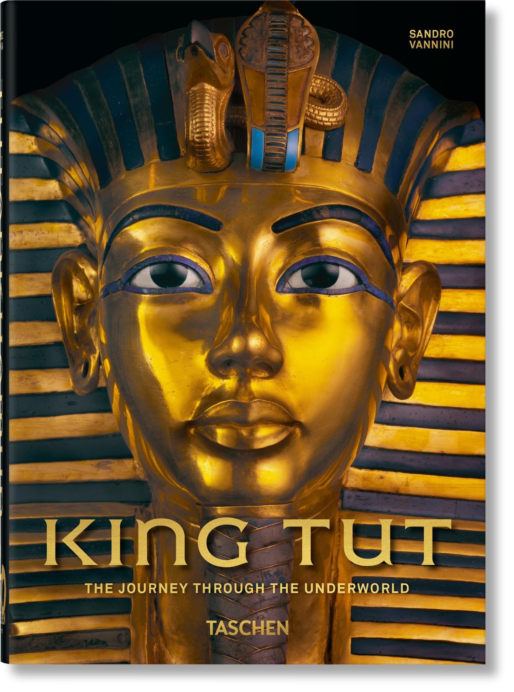 King Tut: The Journey Through the Underworld used book depot