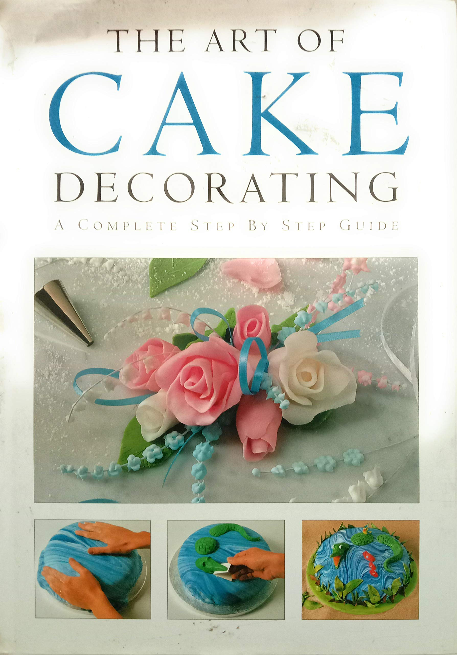 Art of Cake Decorating used book depot