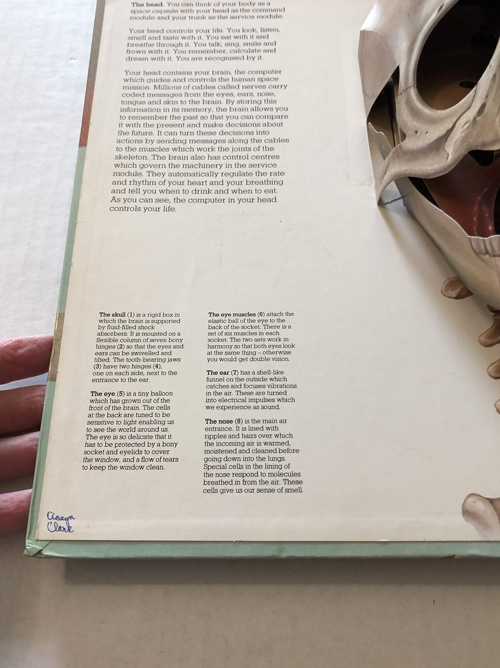 The Human Body: With Three-Dimensional, Movable Illustrations Showing the Workings of the Human Body