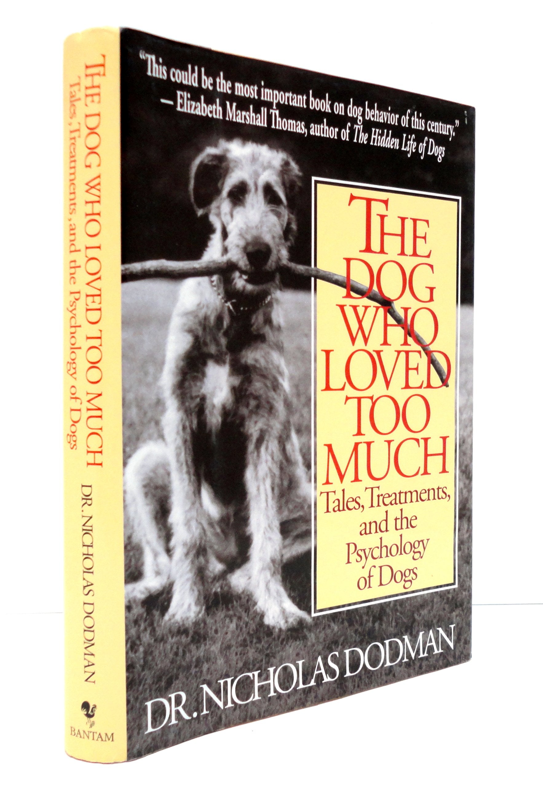 The Dog Who Loved Too Much: Tales, Treatment And The Psychology Of Dogs