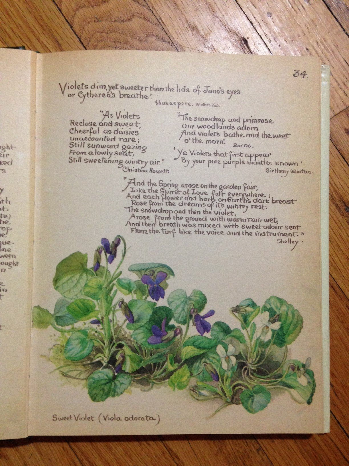 The Country Diary of an Edwardian Lady used book depot