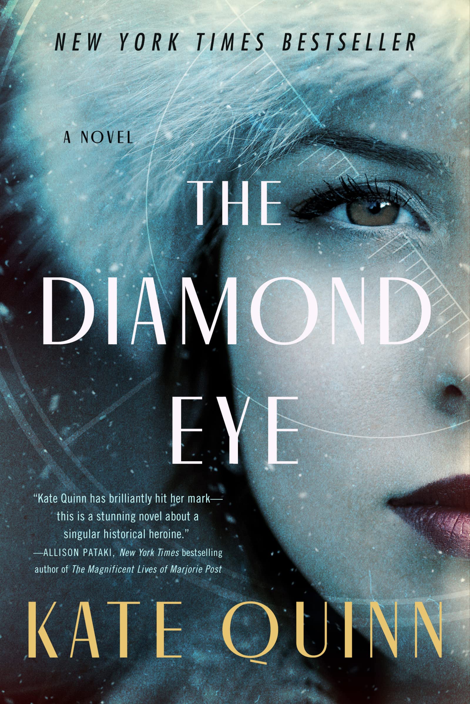 The Diamond Eye: A Novel used book depot