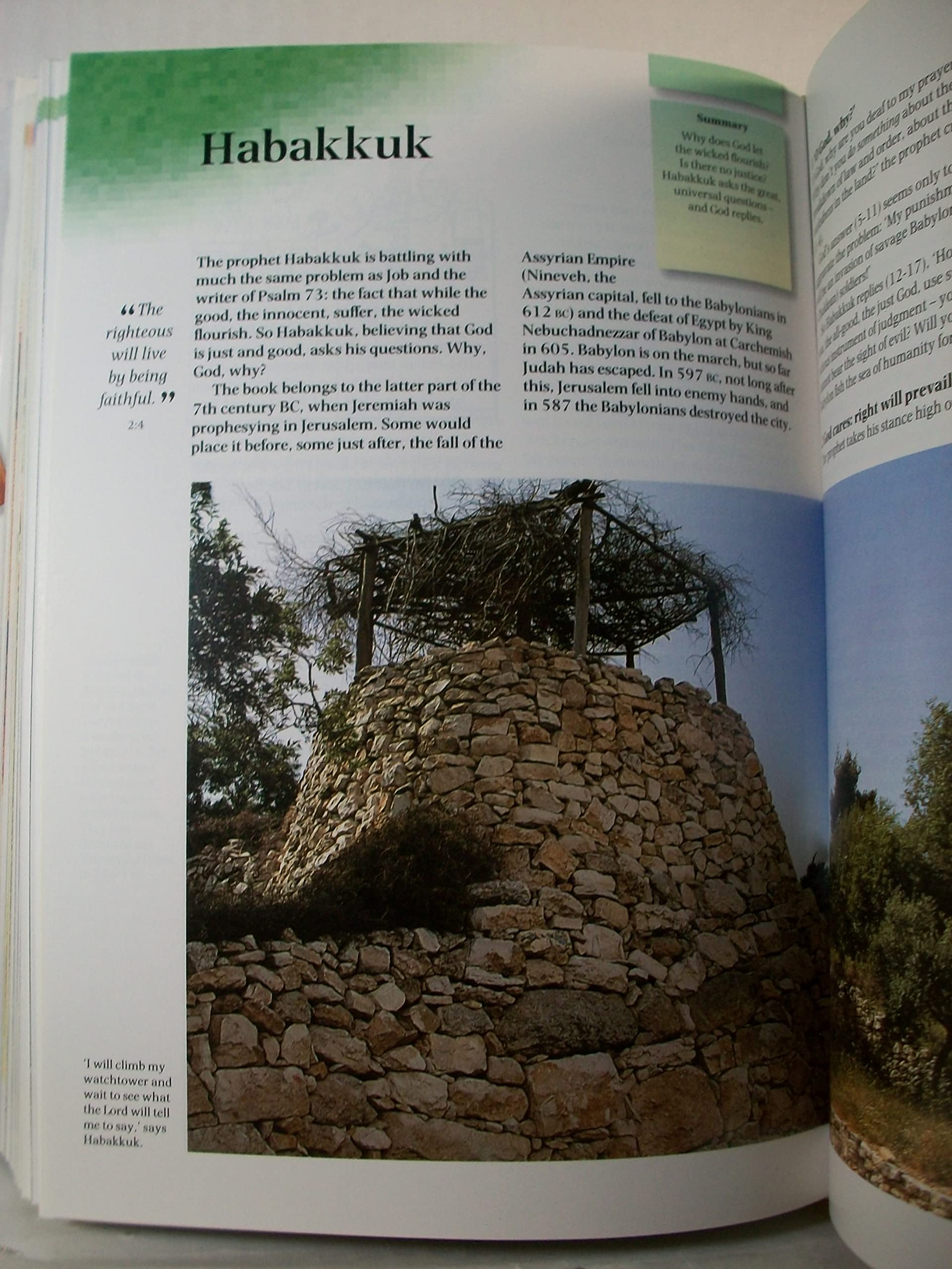 Zondervan Handbook to the Bible, Revised Edition used book depot