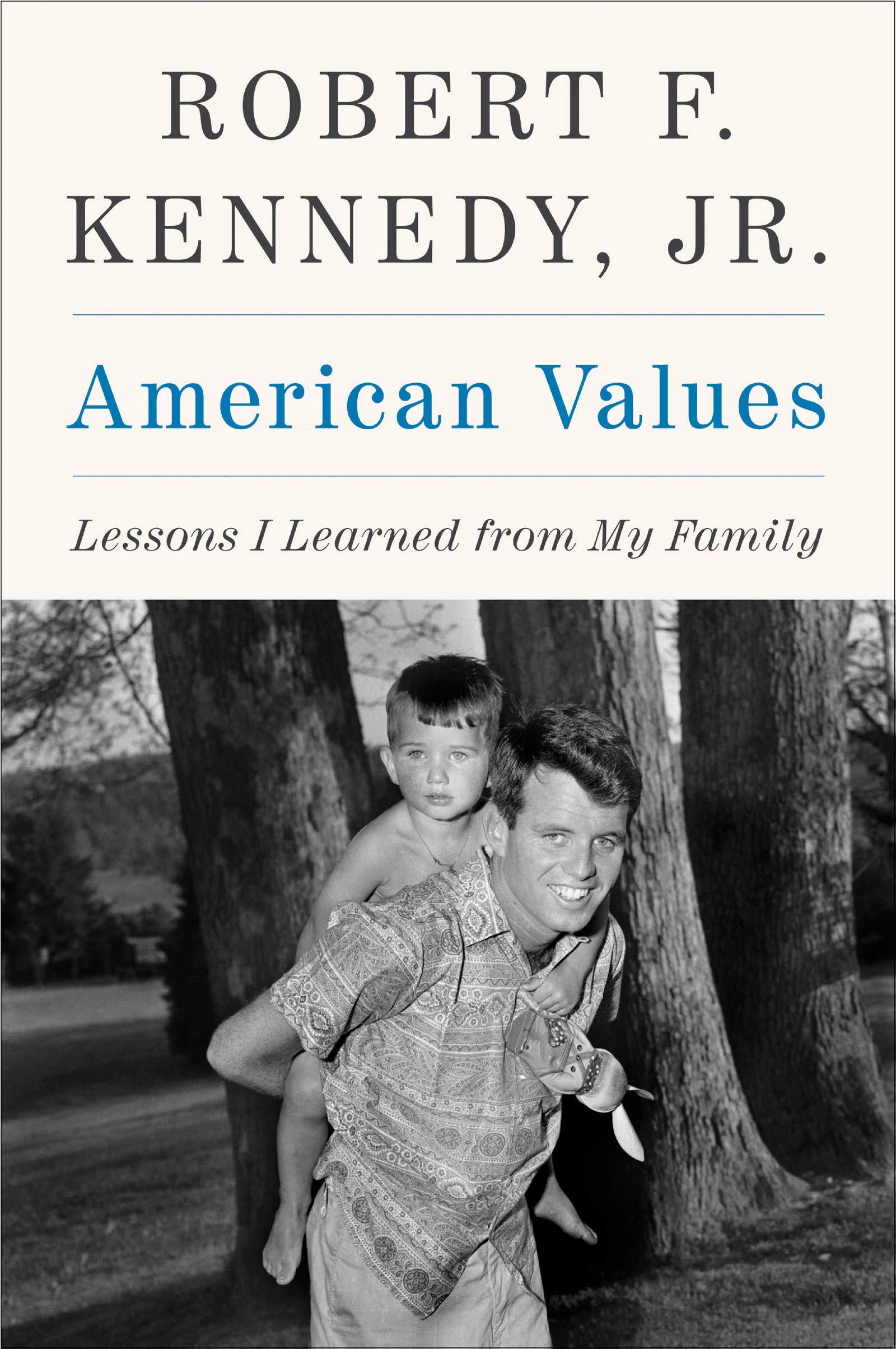 American Values: Lessons I Learned from My Family used book depot