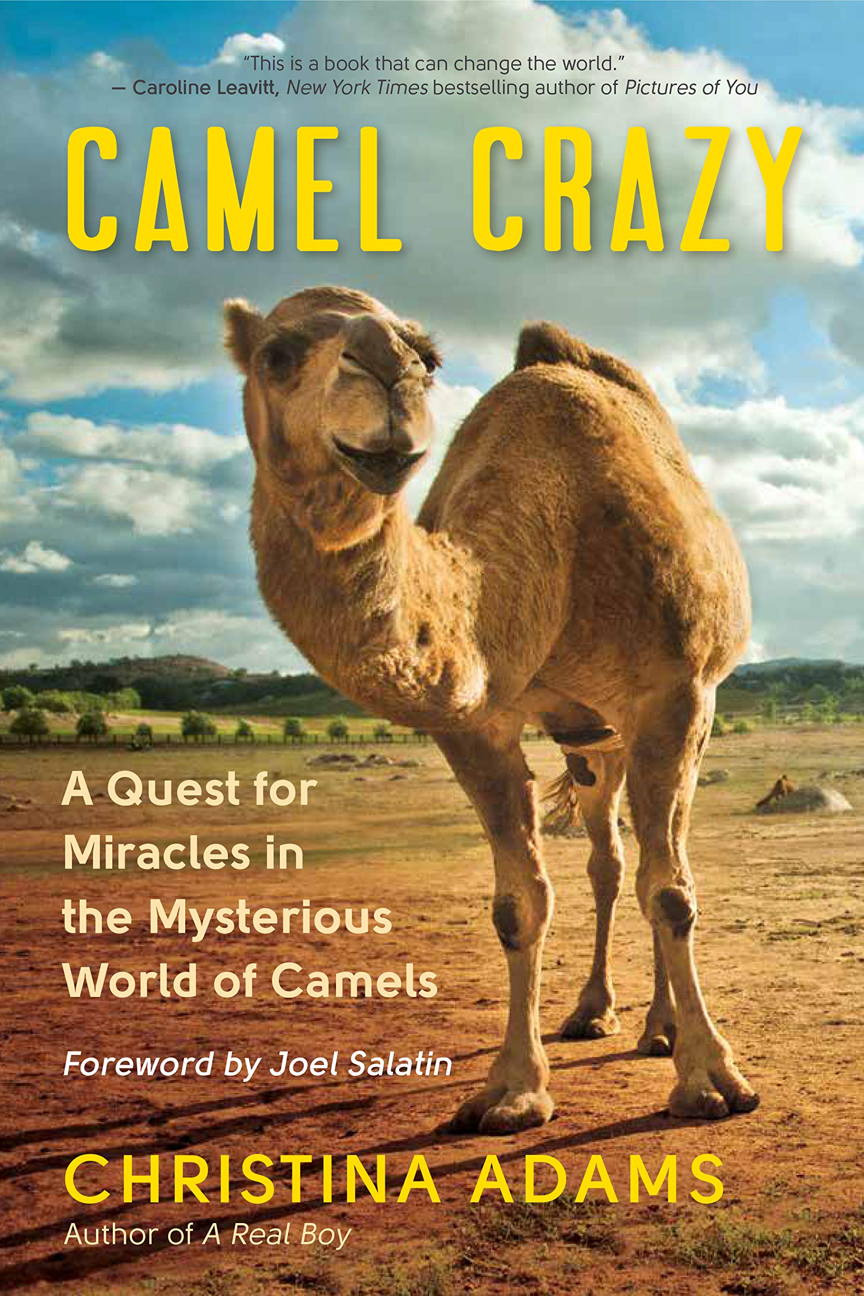 Camel Crazy: A Quest for Miracles in the Mysterious World of Camels used book depot