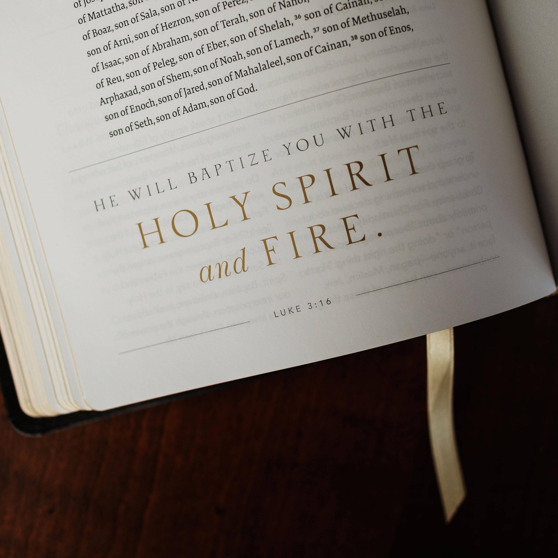 The Word on Fire Bible (Volume I): The Gospels (Leather) (Word on Fire Bible Series) used book depot