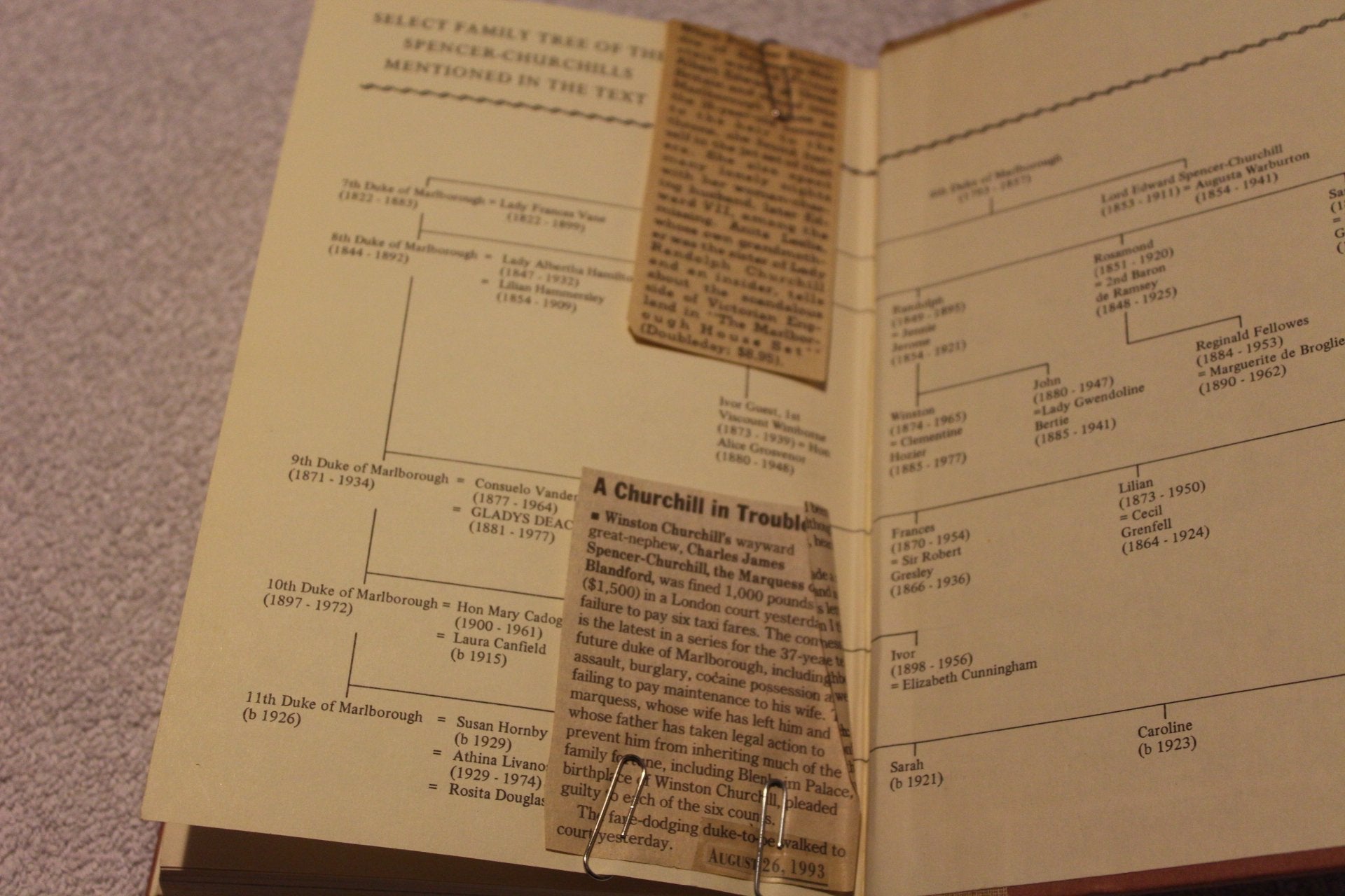 Gladys: Duchess of Marlborough used book depot
