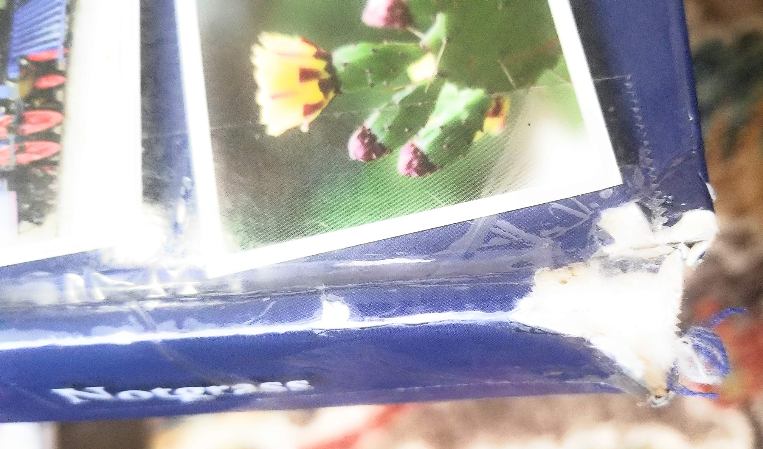 AMERICA THE BEAUTIFUL Part 1: America from 1000 to 1877 used book depot