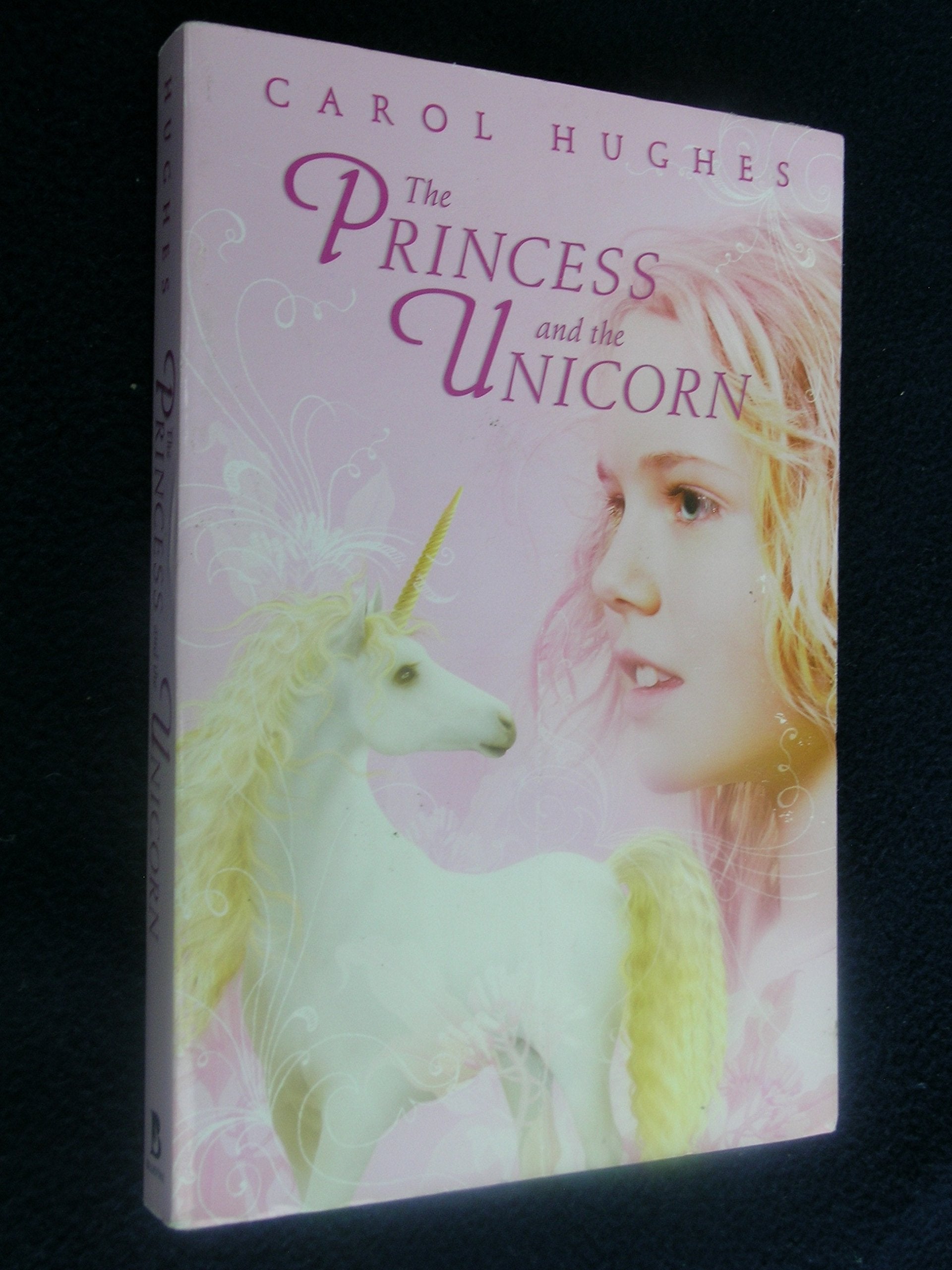 The Princess and the Unicorn used book depot