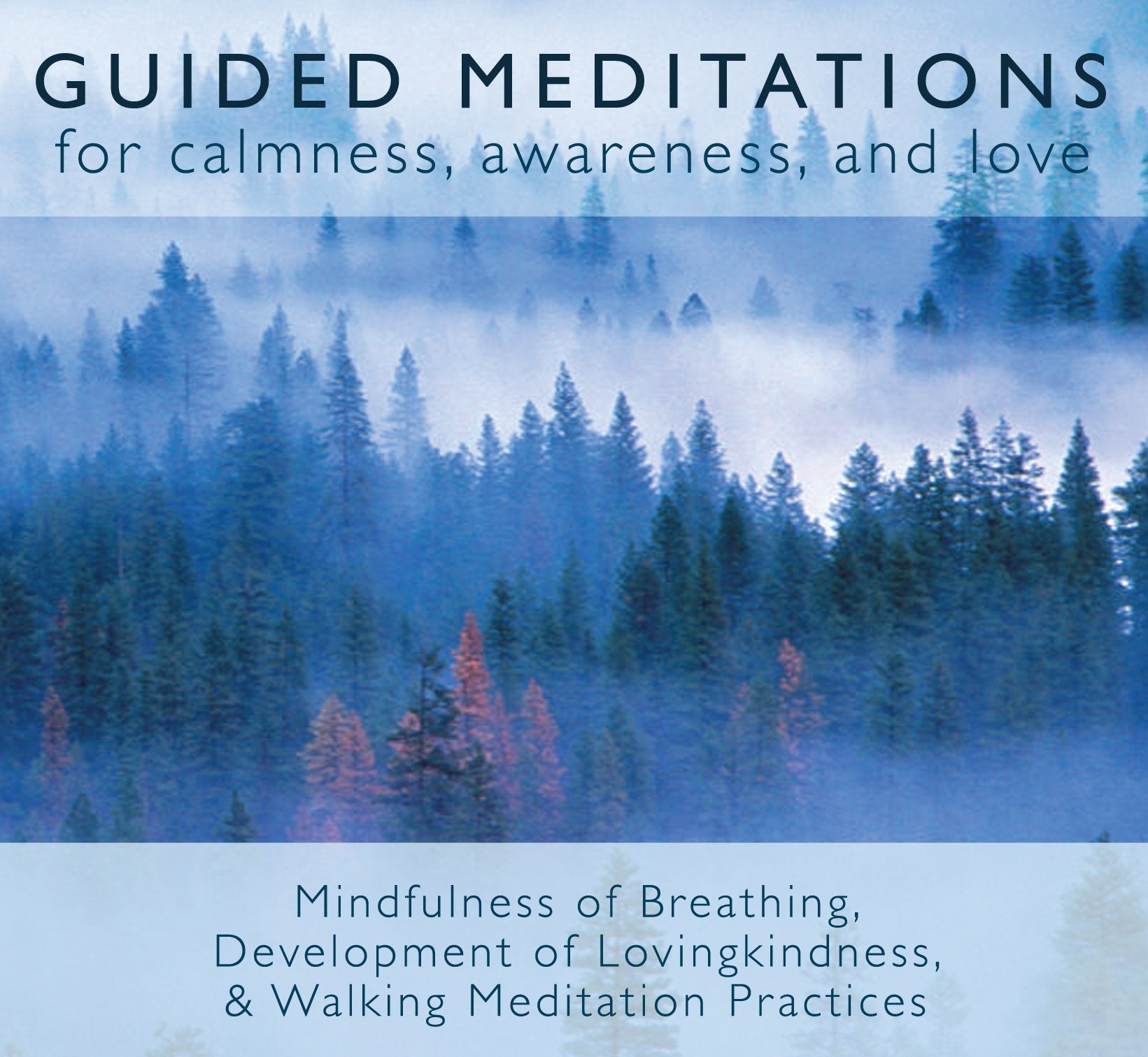Guided Meditations: For Calmness, Awareness, and Love used book depot
