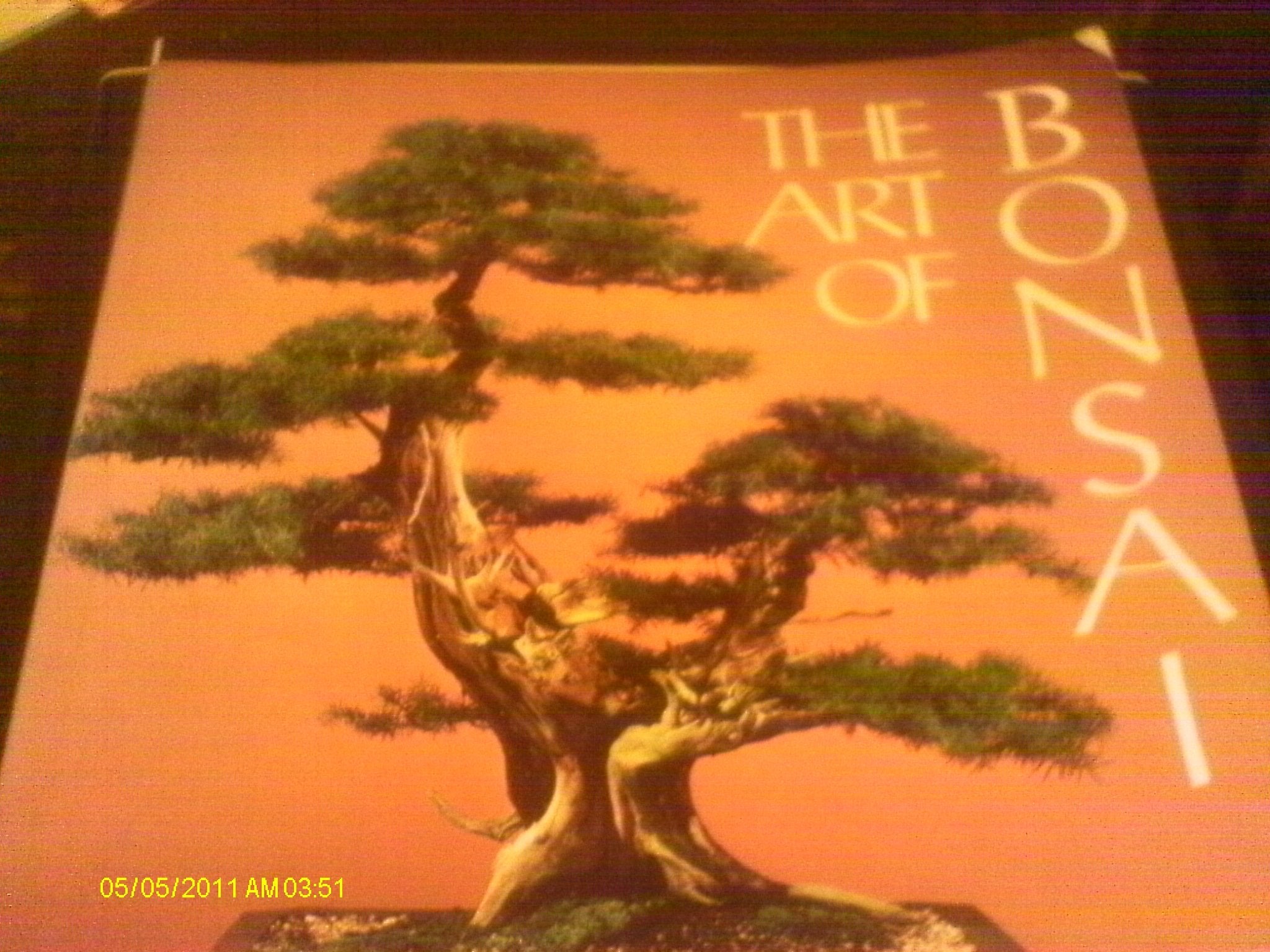 The Art of Bonsai used book depot