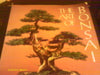 The Art of Bonsai Adams, Peter D